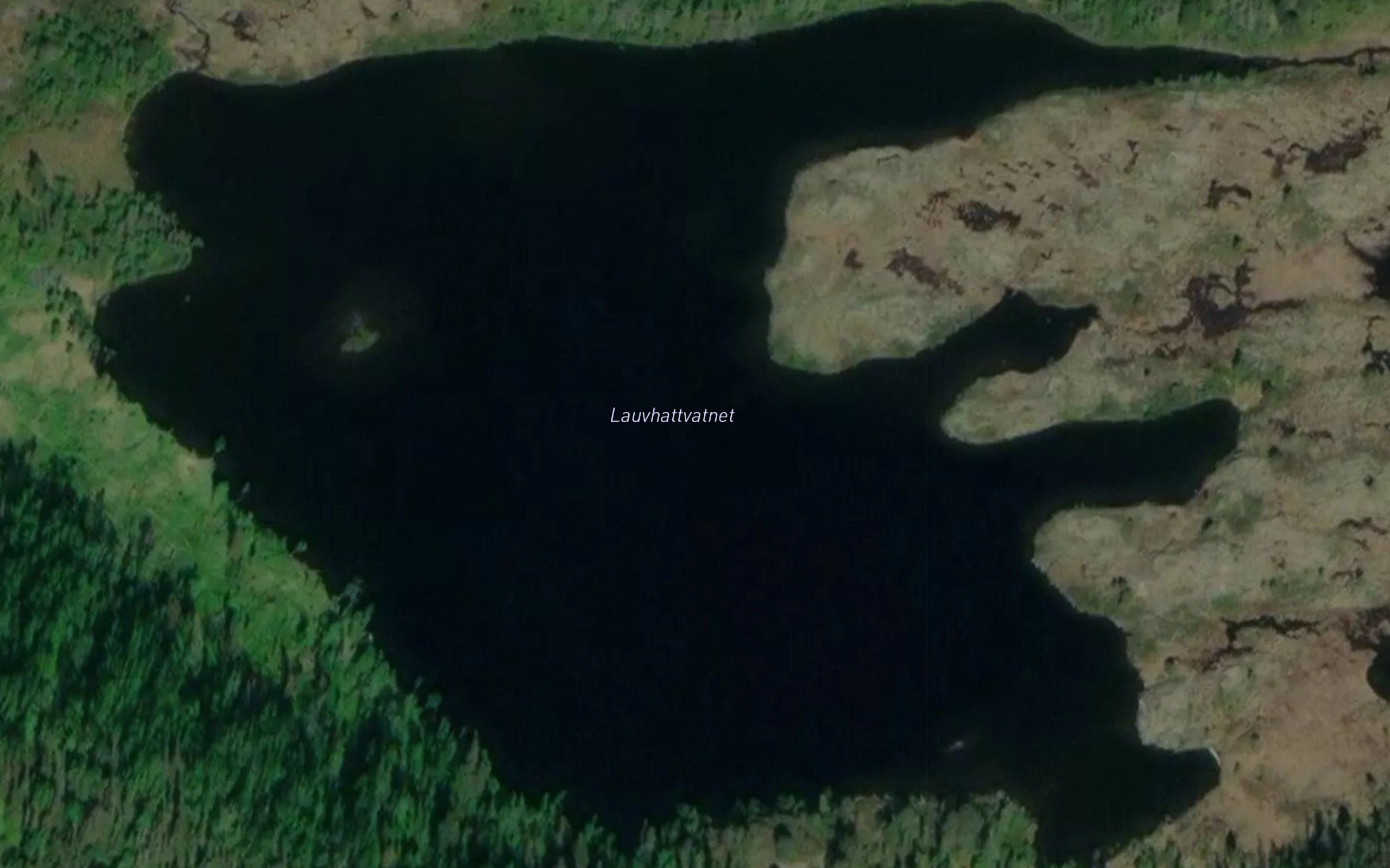 Lauvhattvatnet