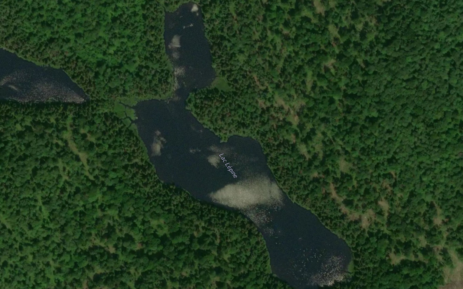 Satellite map of the Lac Lepine