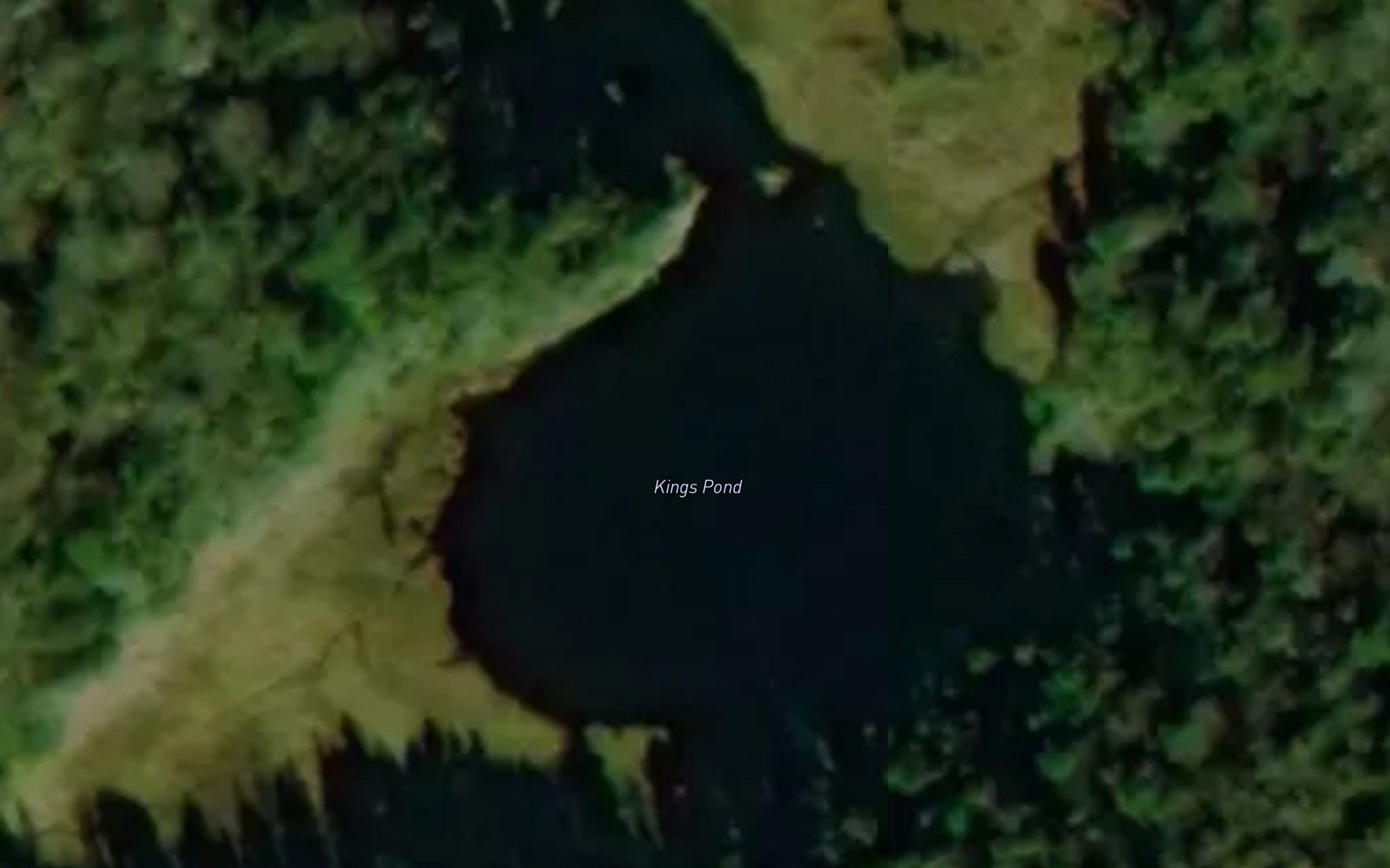 Kings Pond