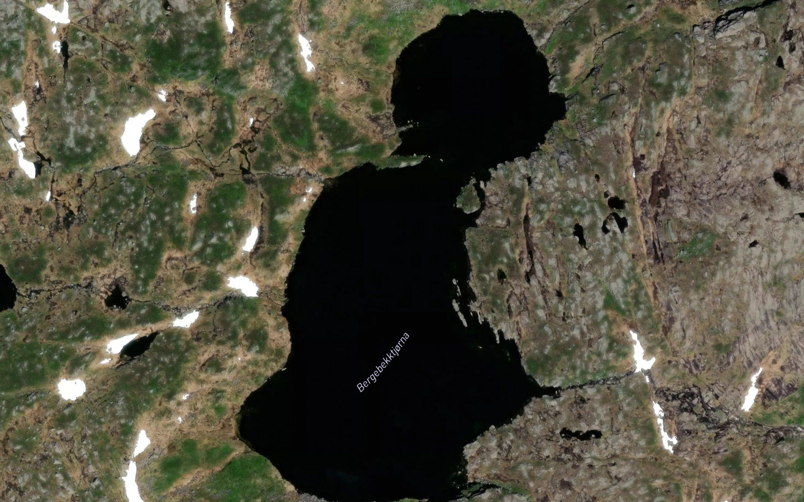 Bergebekktjorna