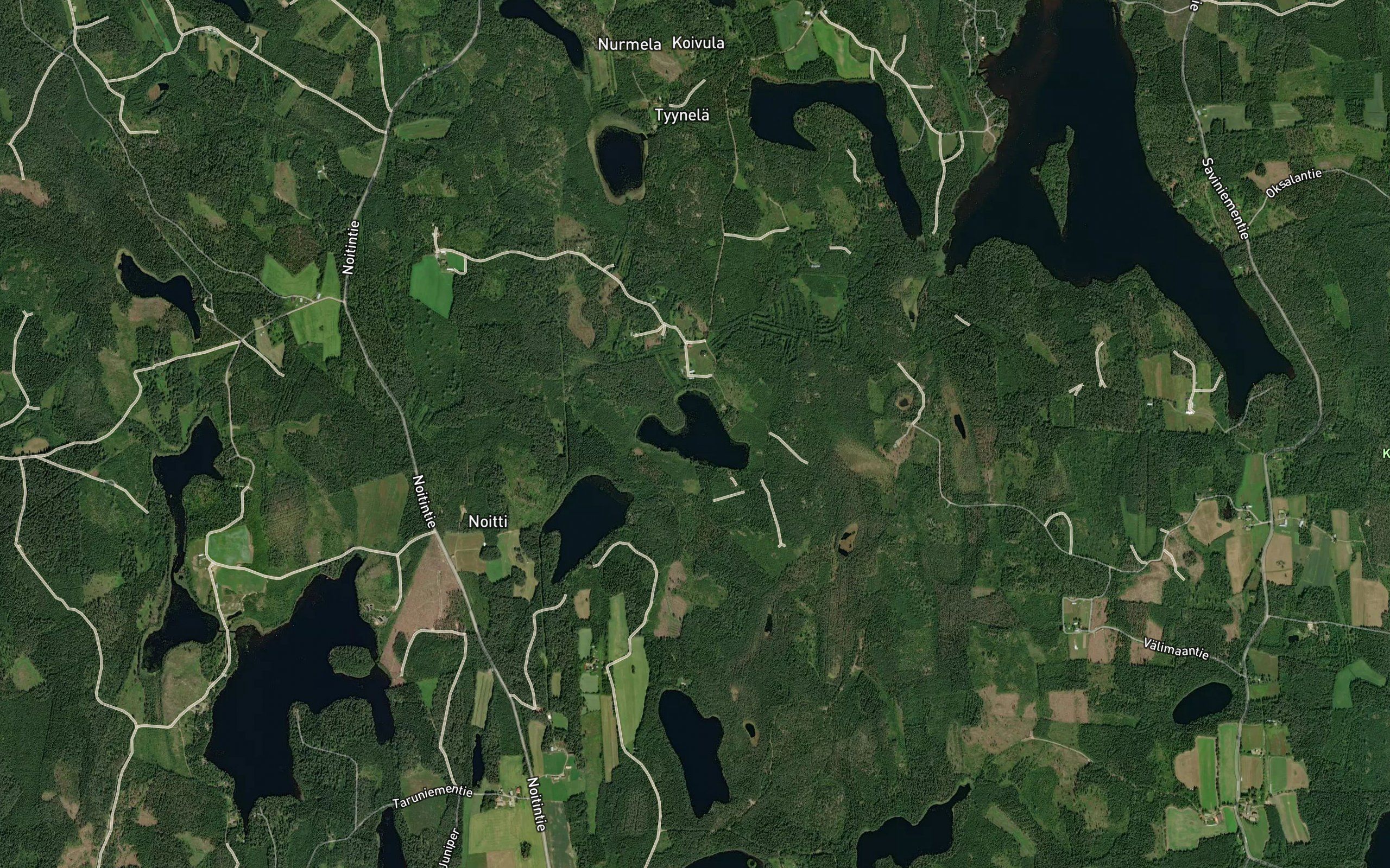 Kortelampi
