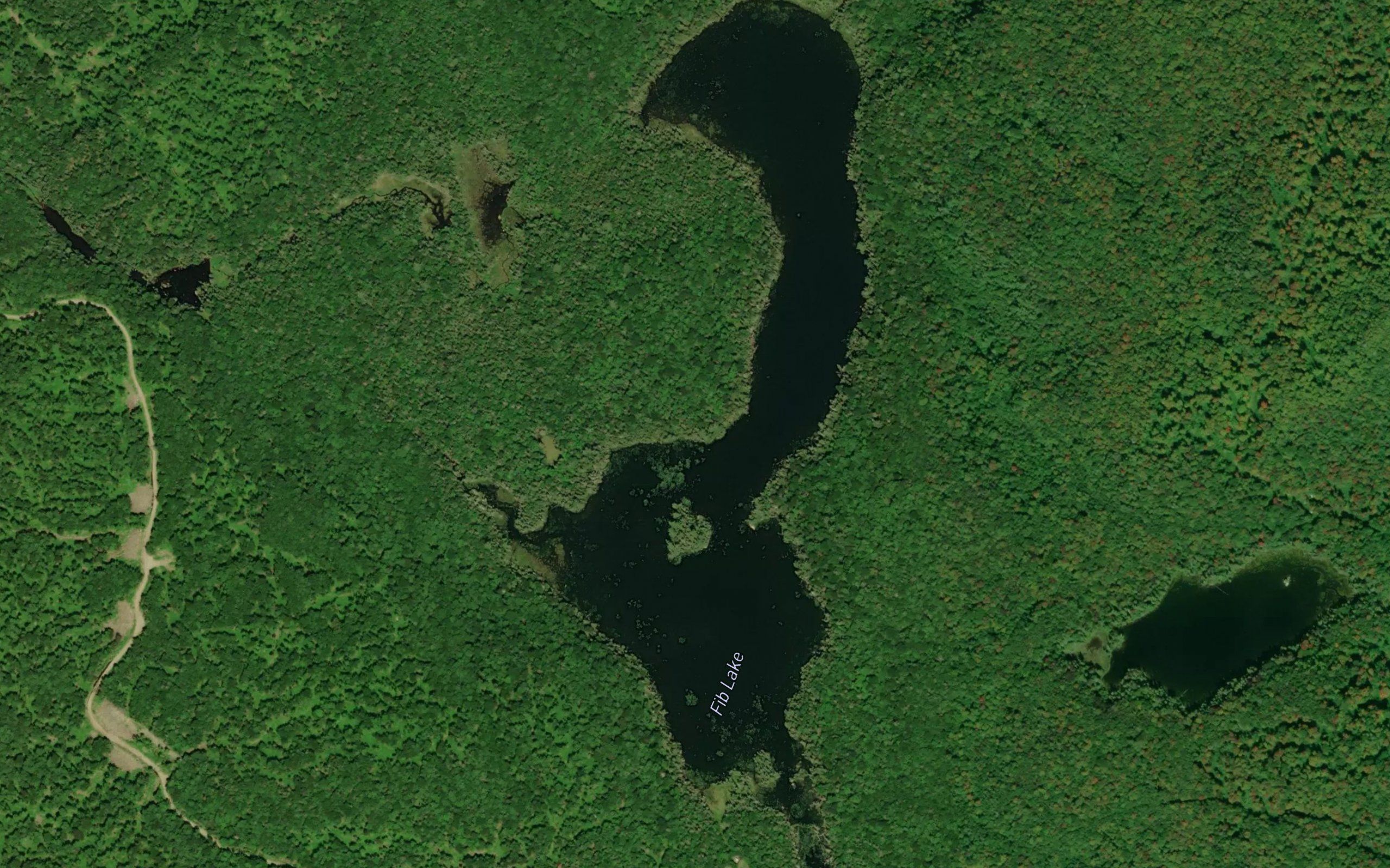 Fib Lake