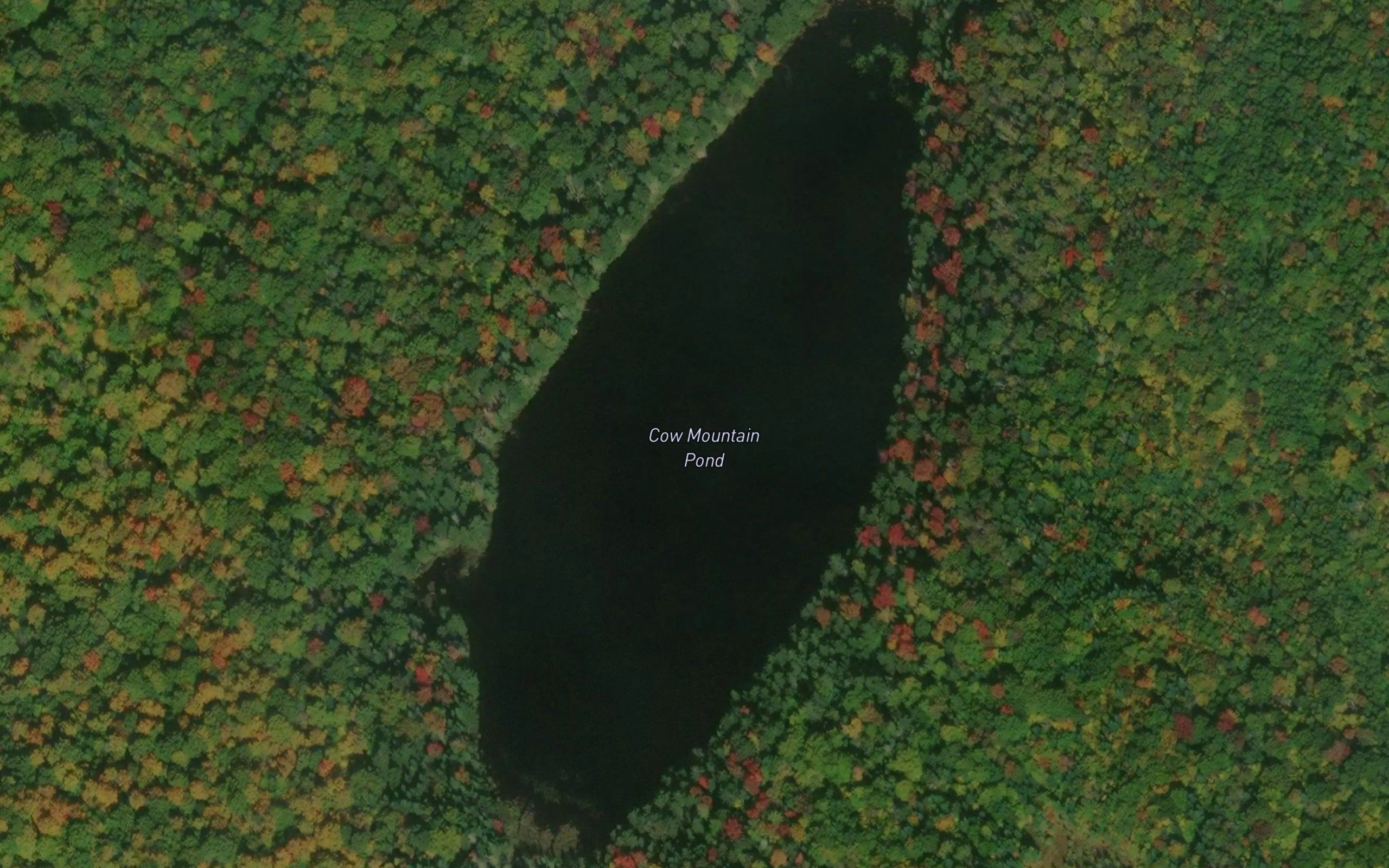 Cow Mountain Pond