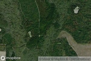 Creeping Swamp Creek