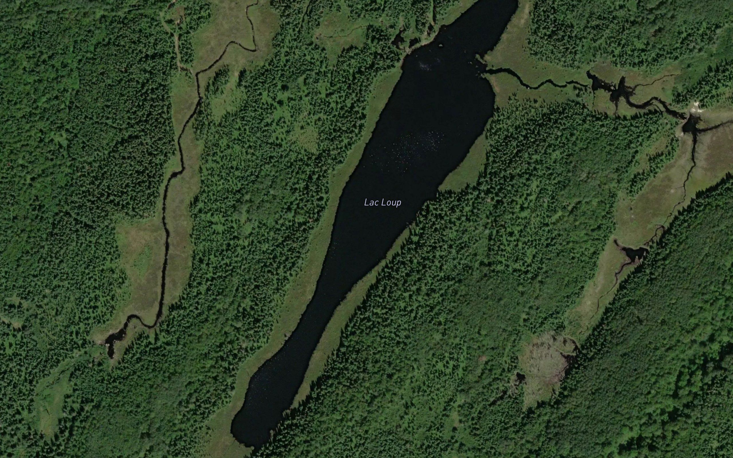 Lac Loup