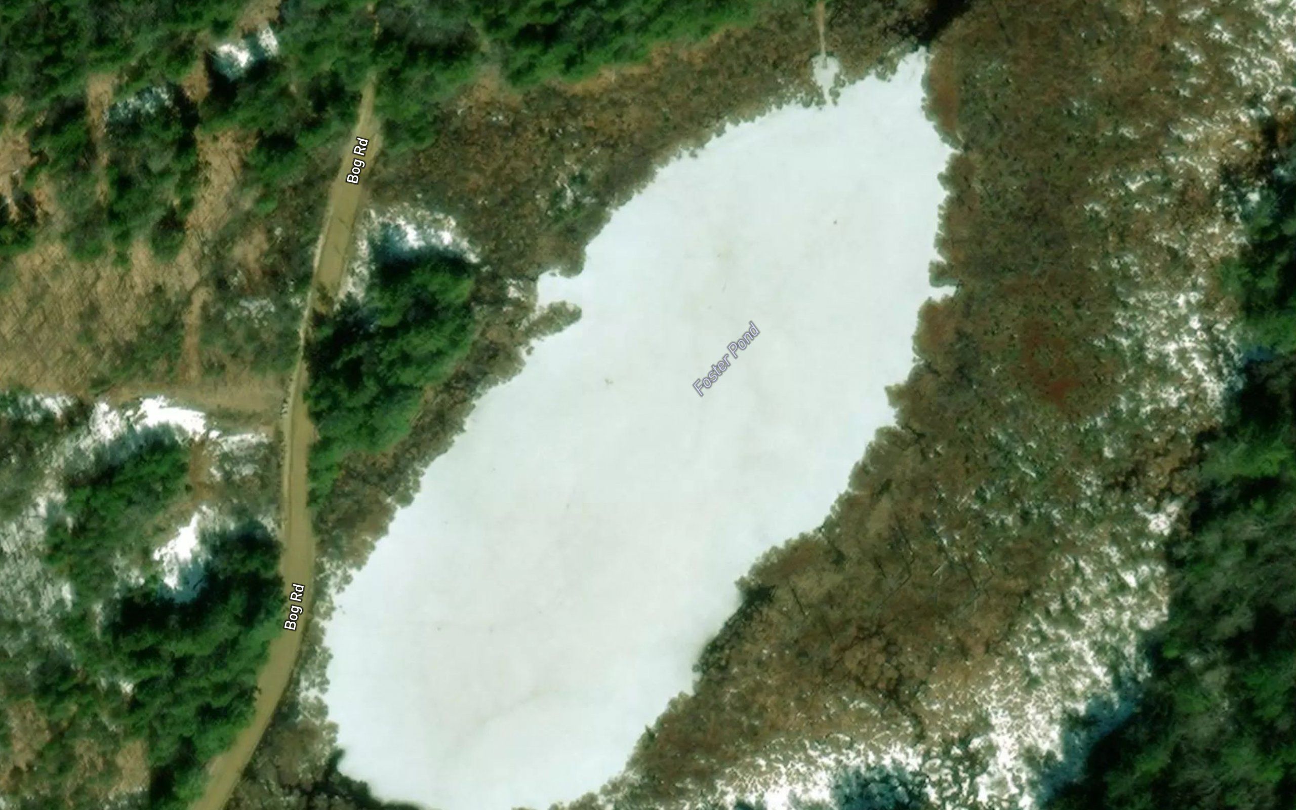Foster Pond