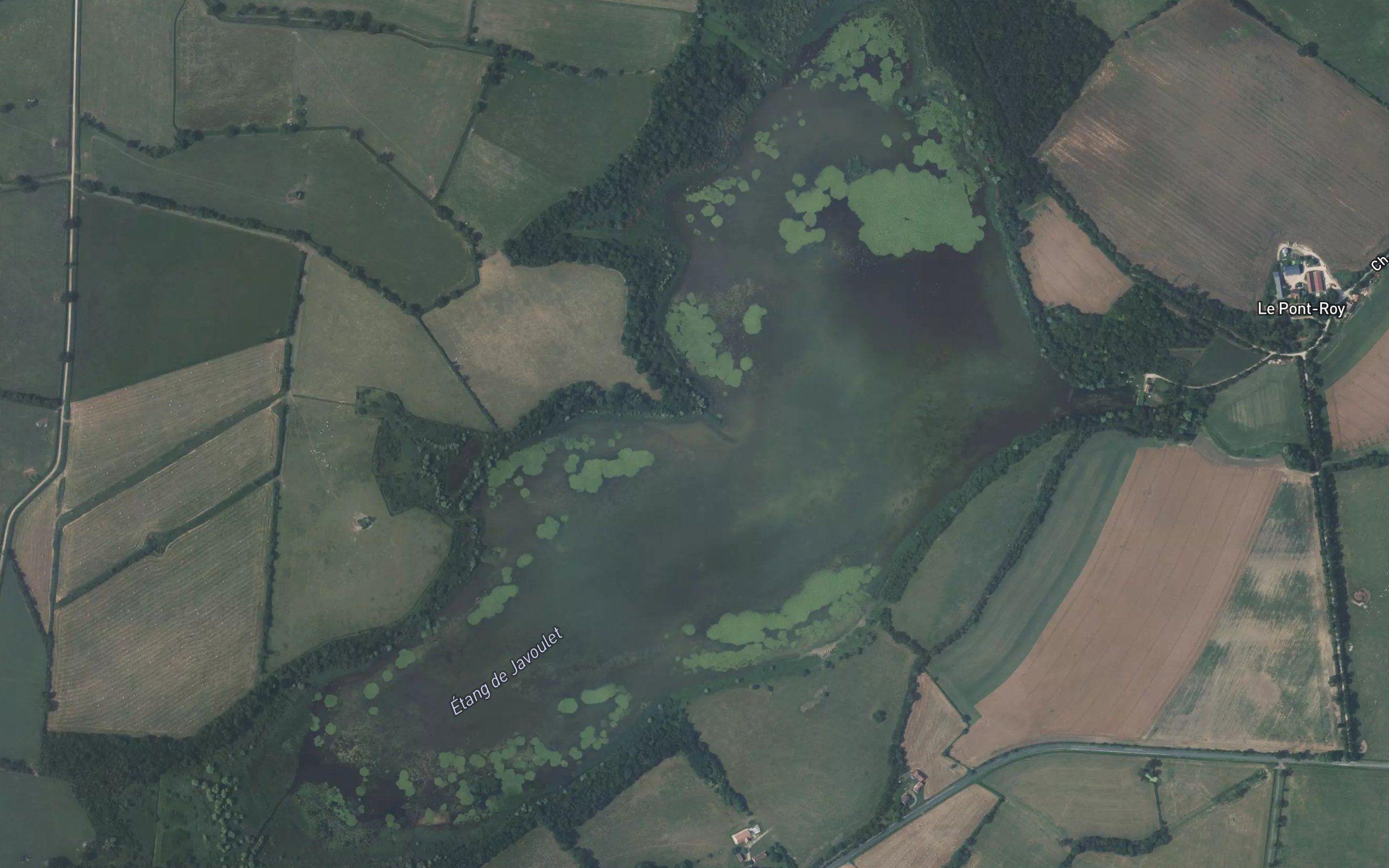 Etang de Javoulet