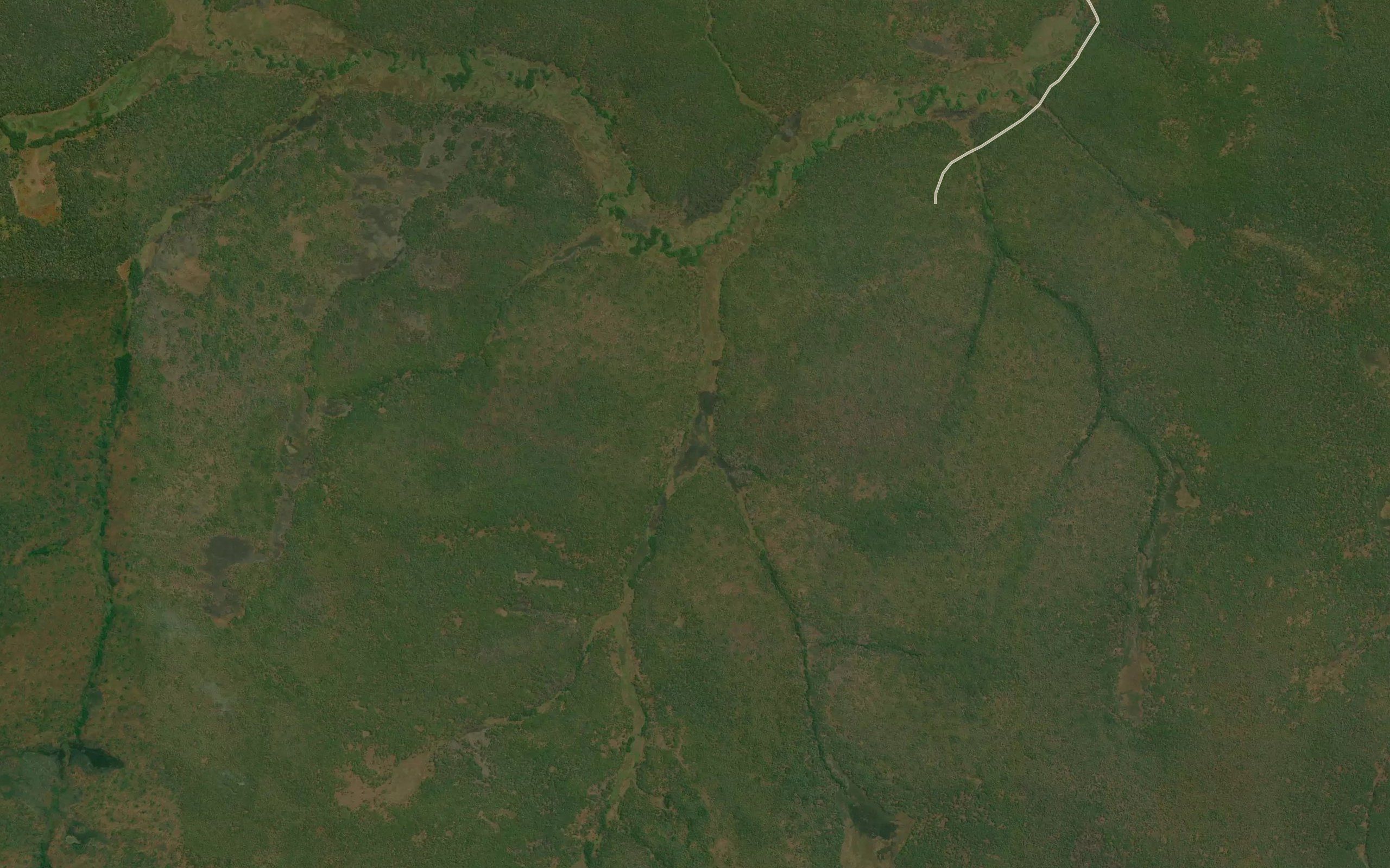 Kamukonko