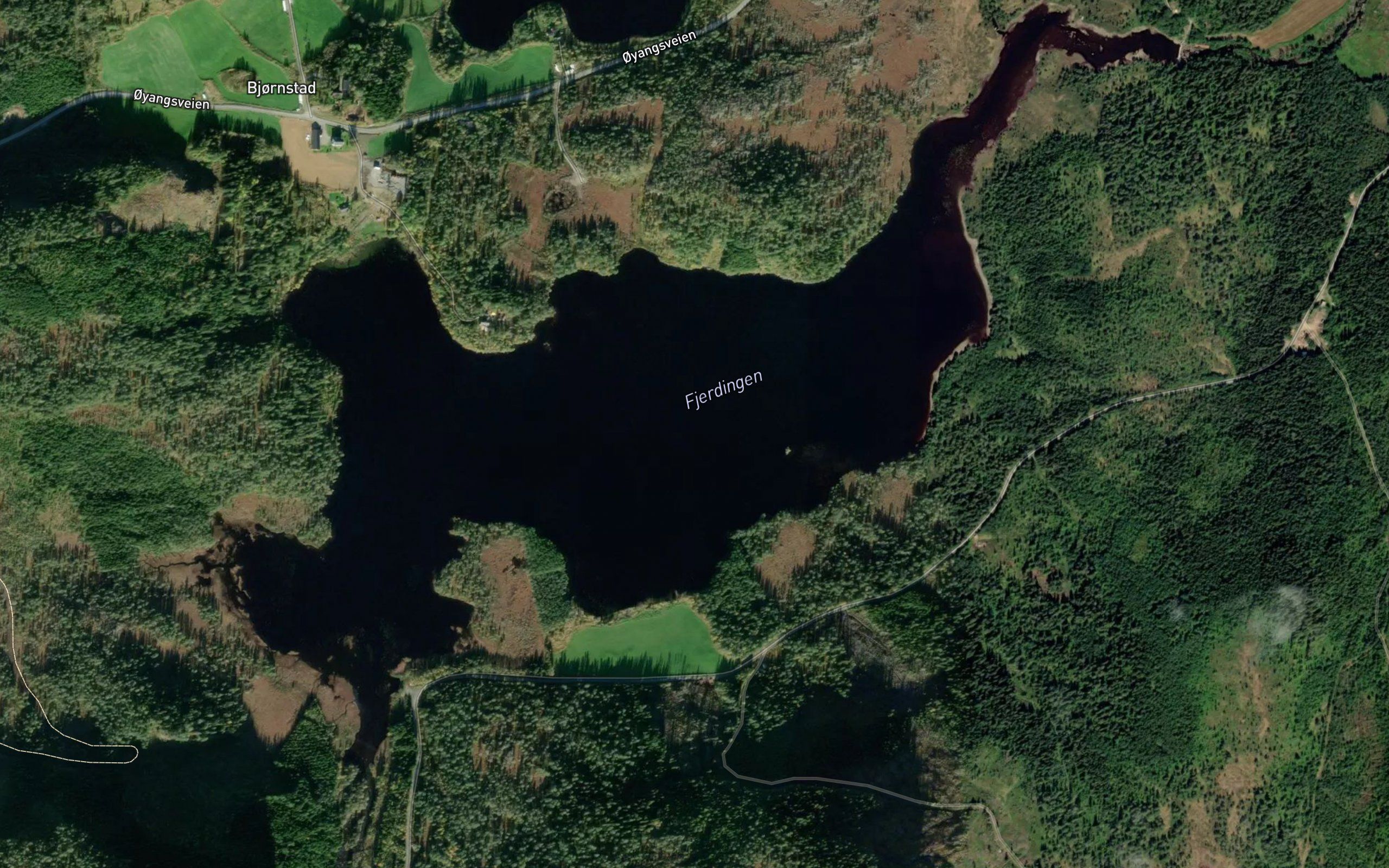 Fjeringen
