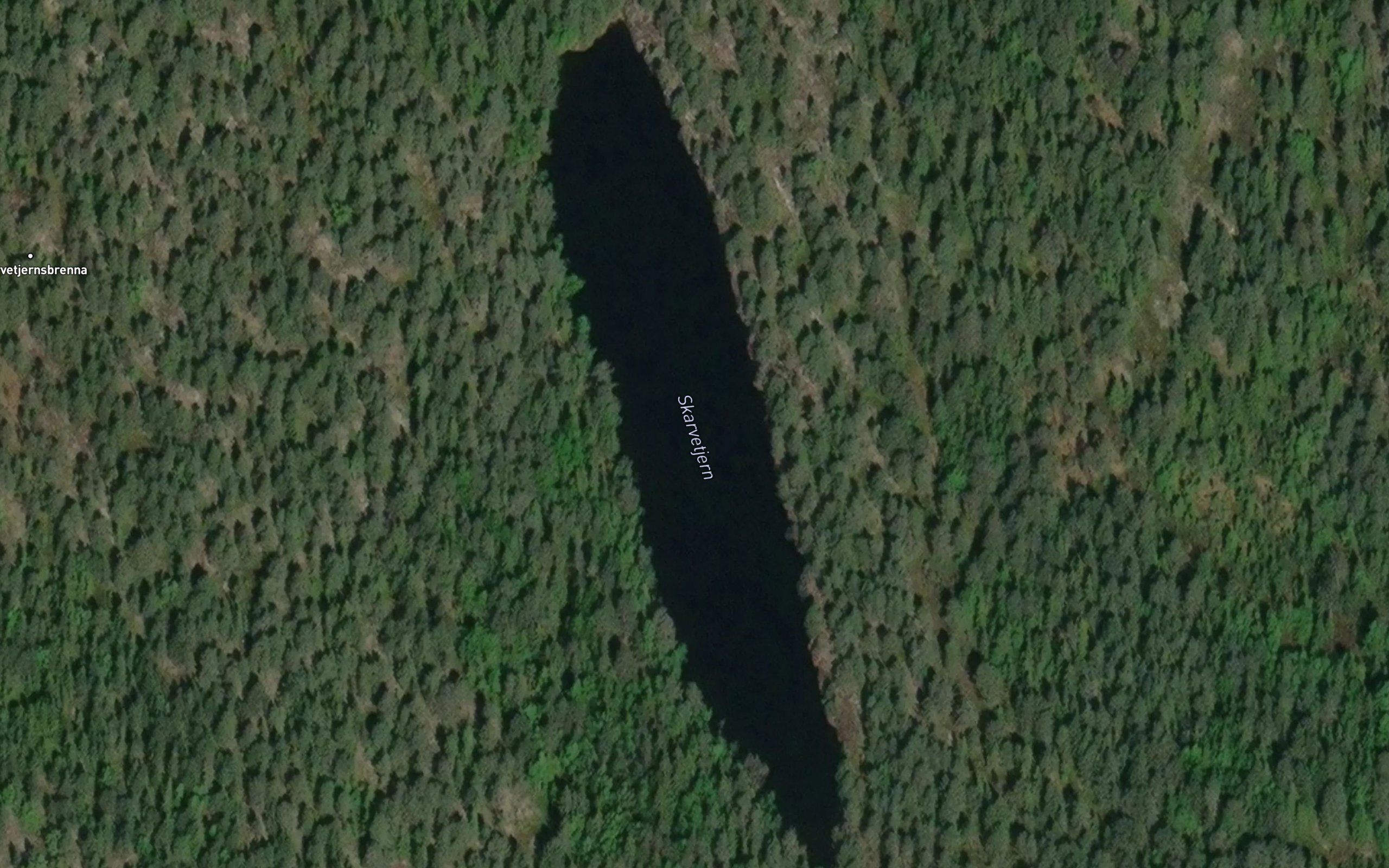 Skarvetjern