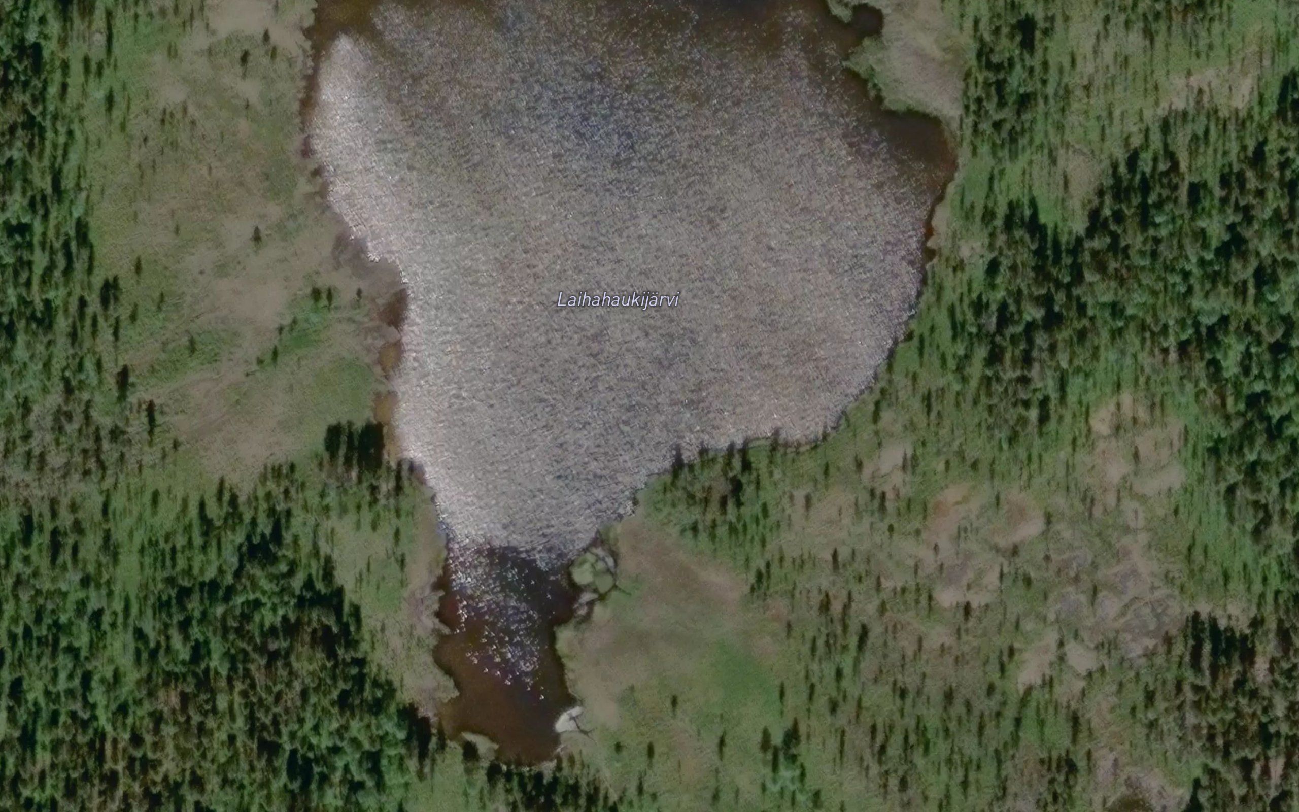 Laihahaukijarvi