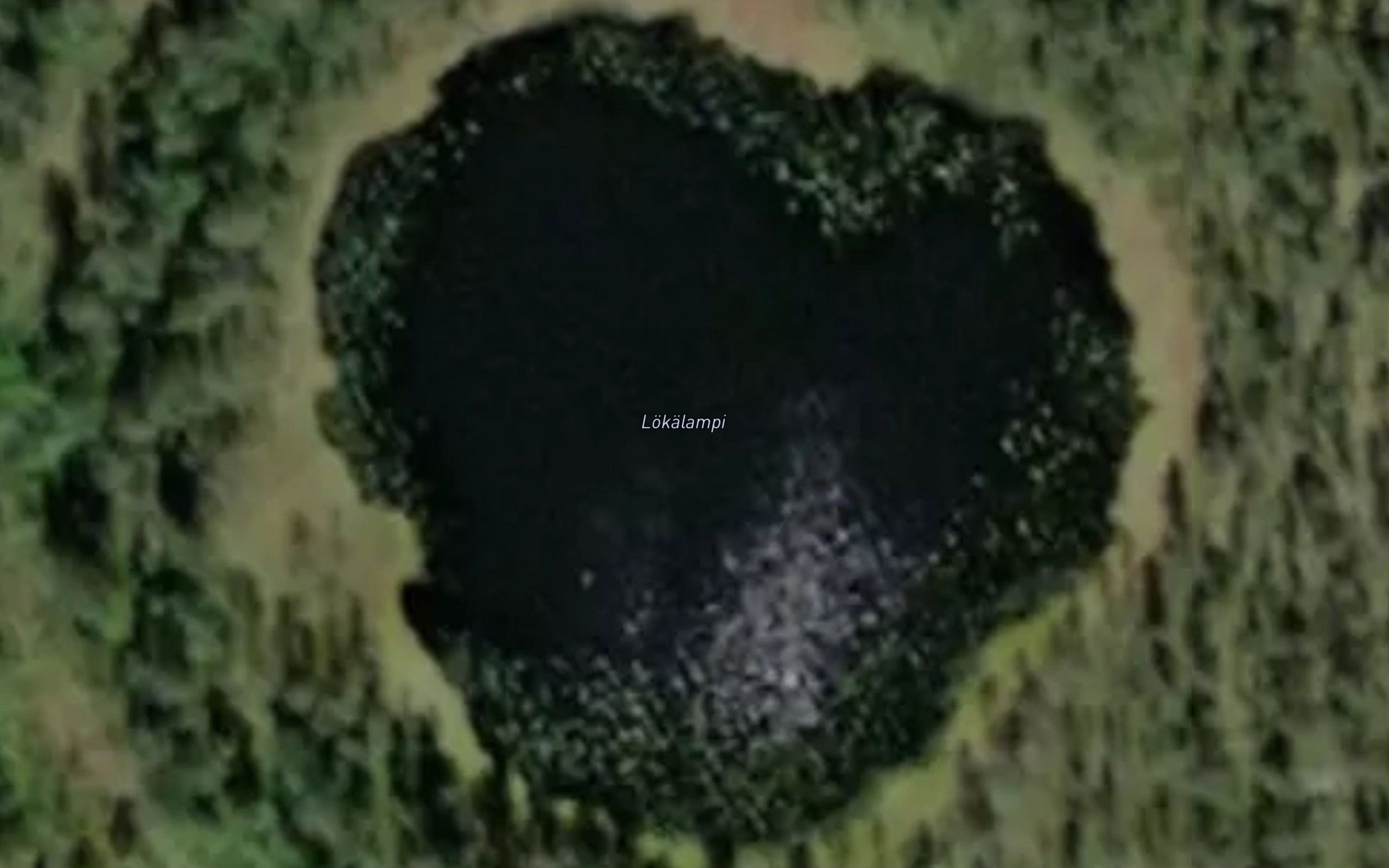 Lokalampi