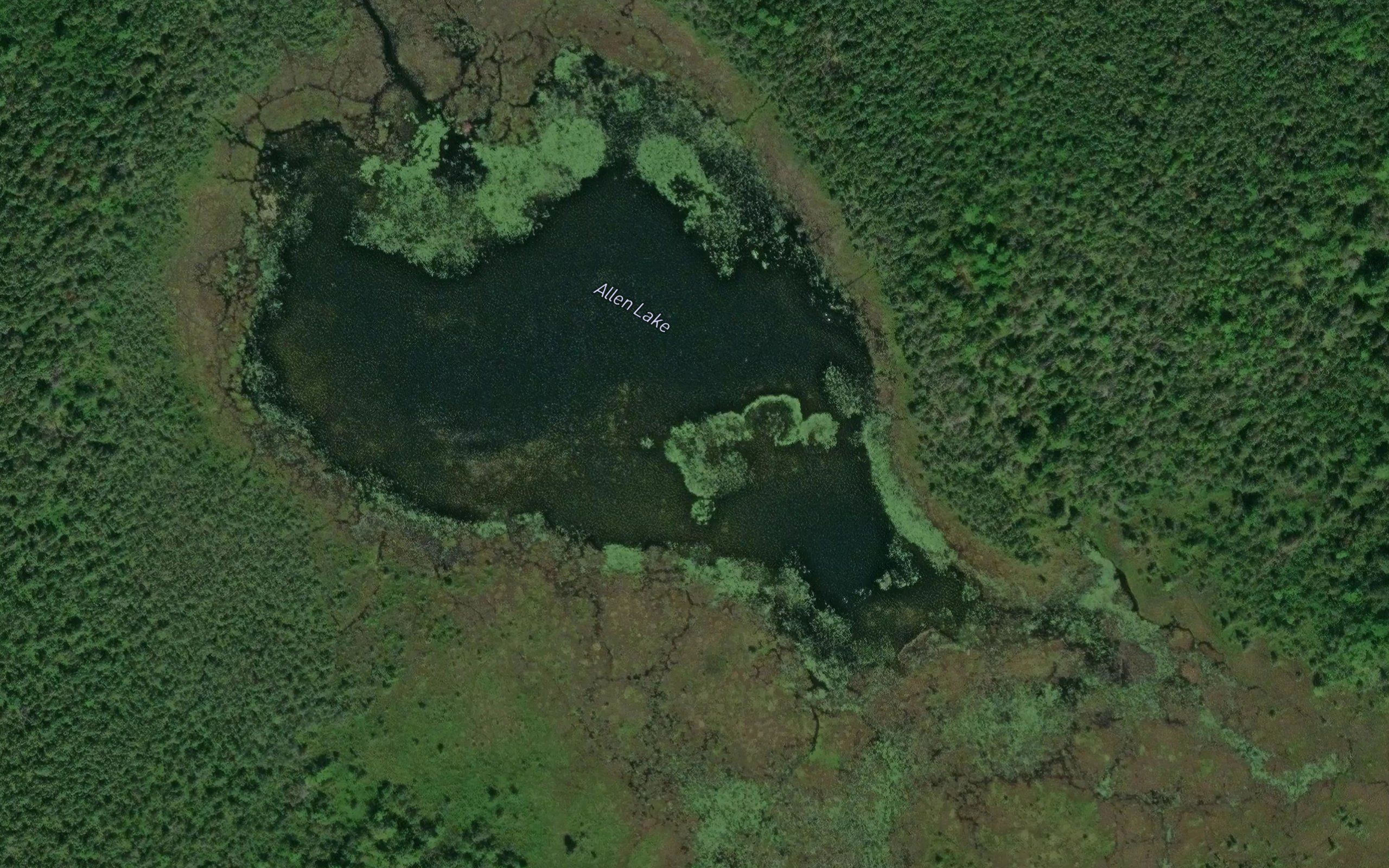 Allen Lake