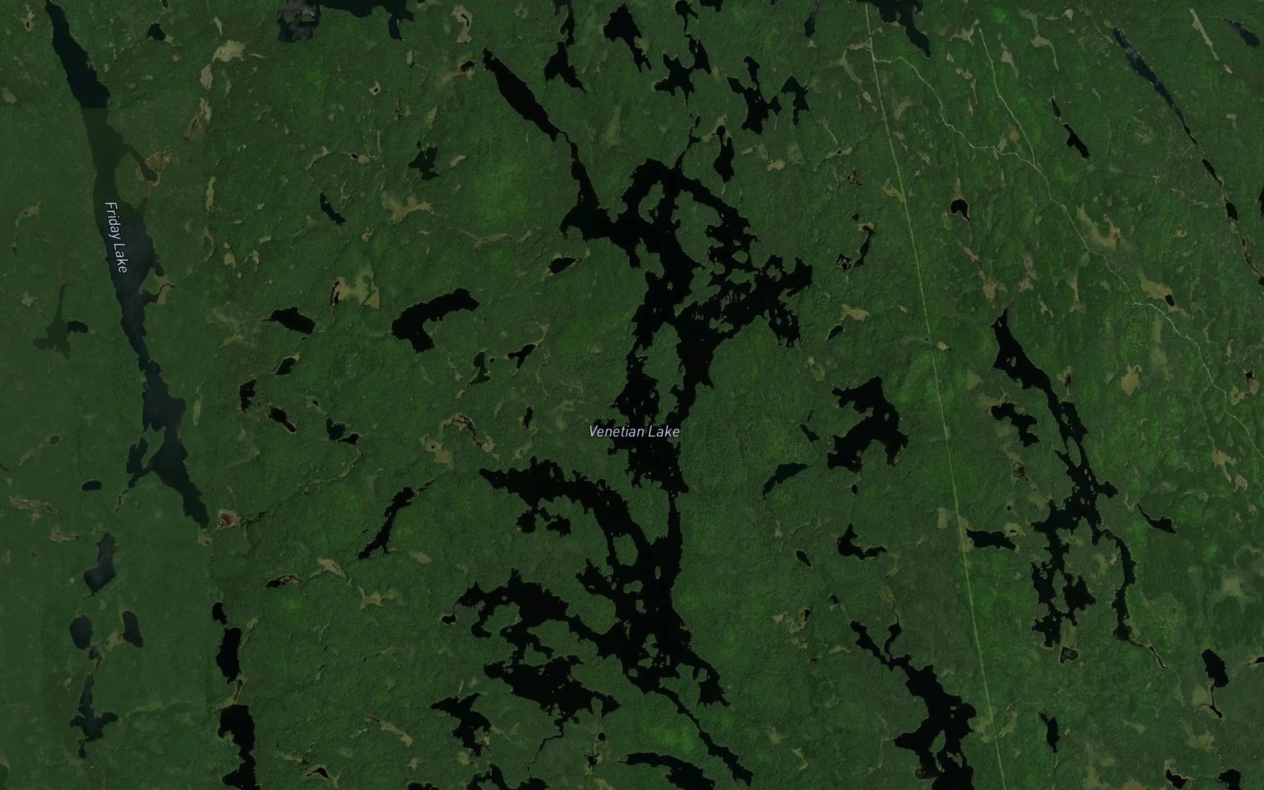 Satellite map of the Venetian Lake