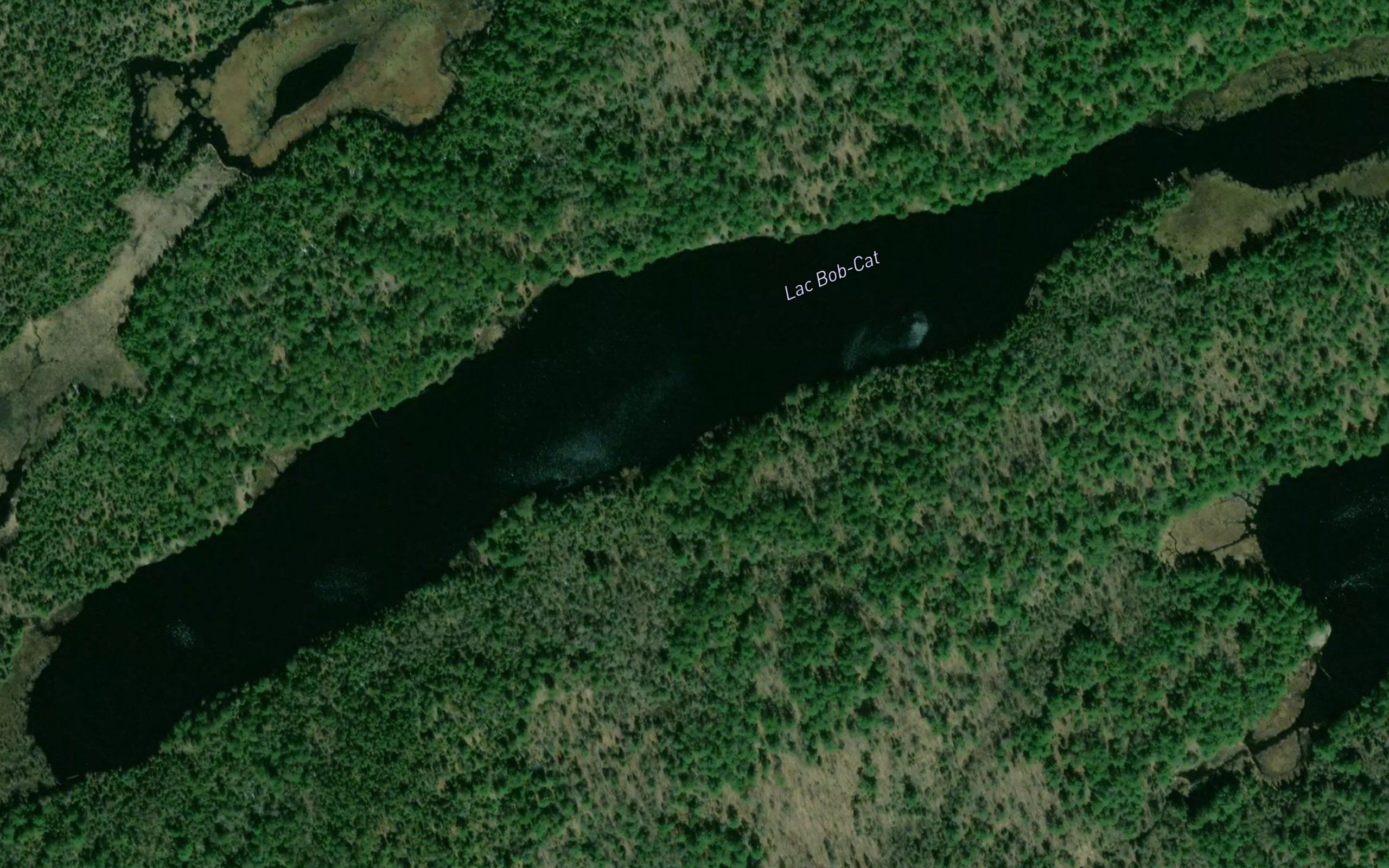 Lac Bob-Cat