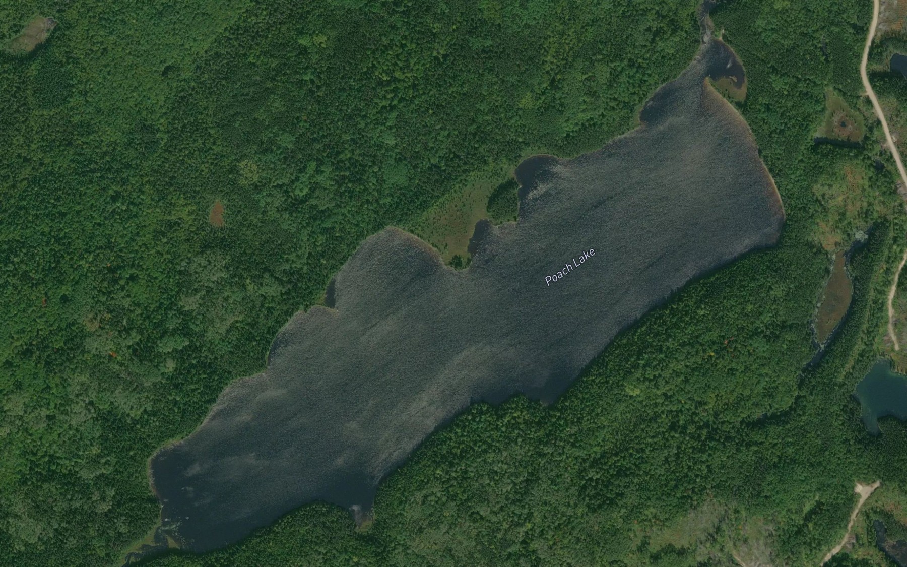Satellite map of the Poach Lake