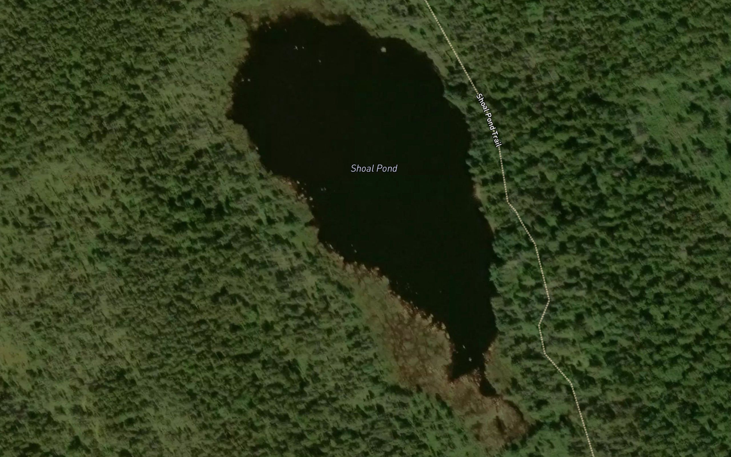 Shoal Pond