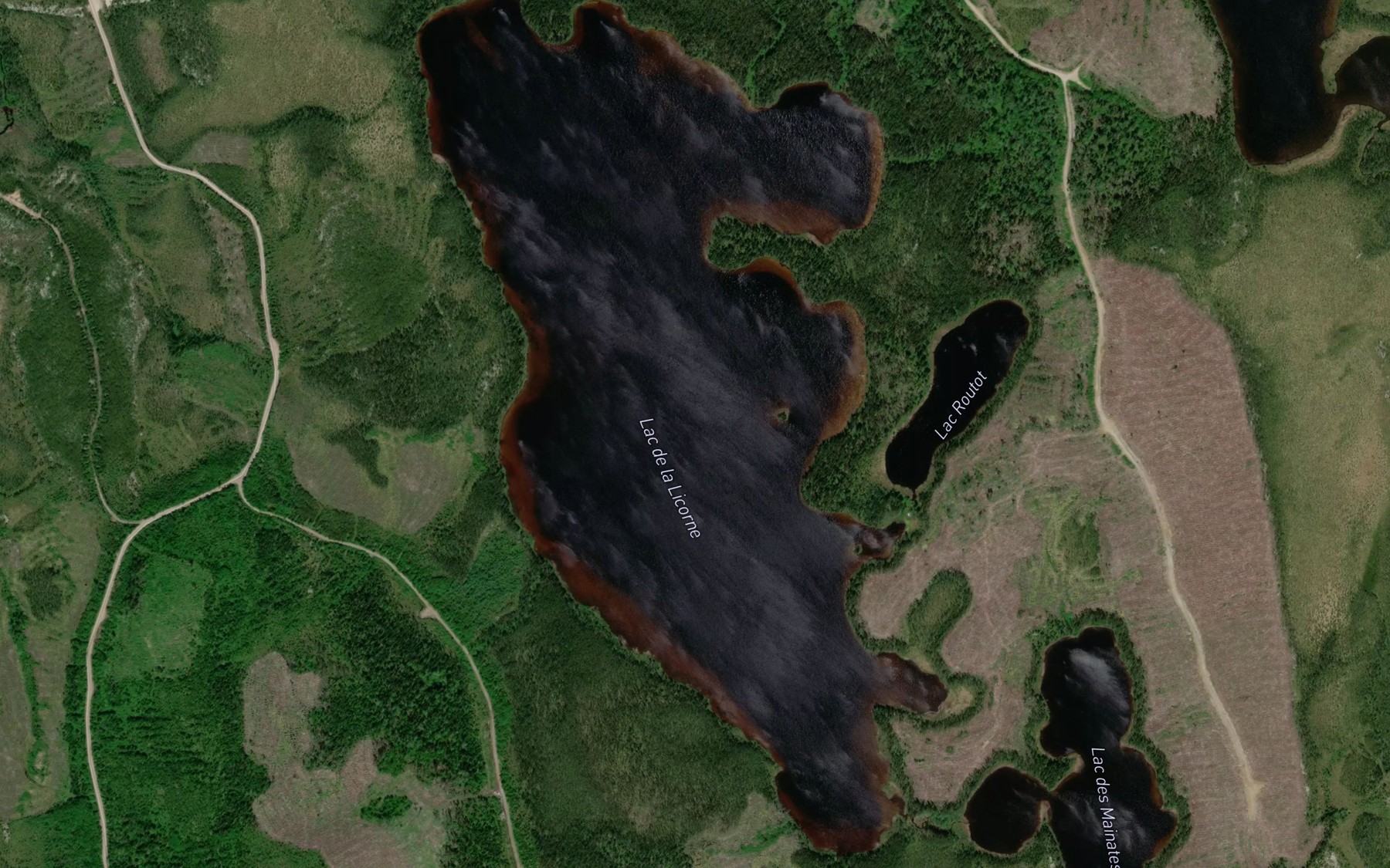 Satellite map of the Lac de la Licorne