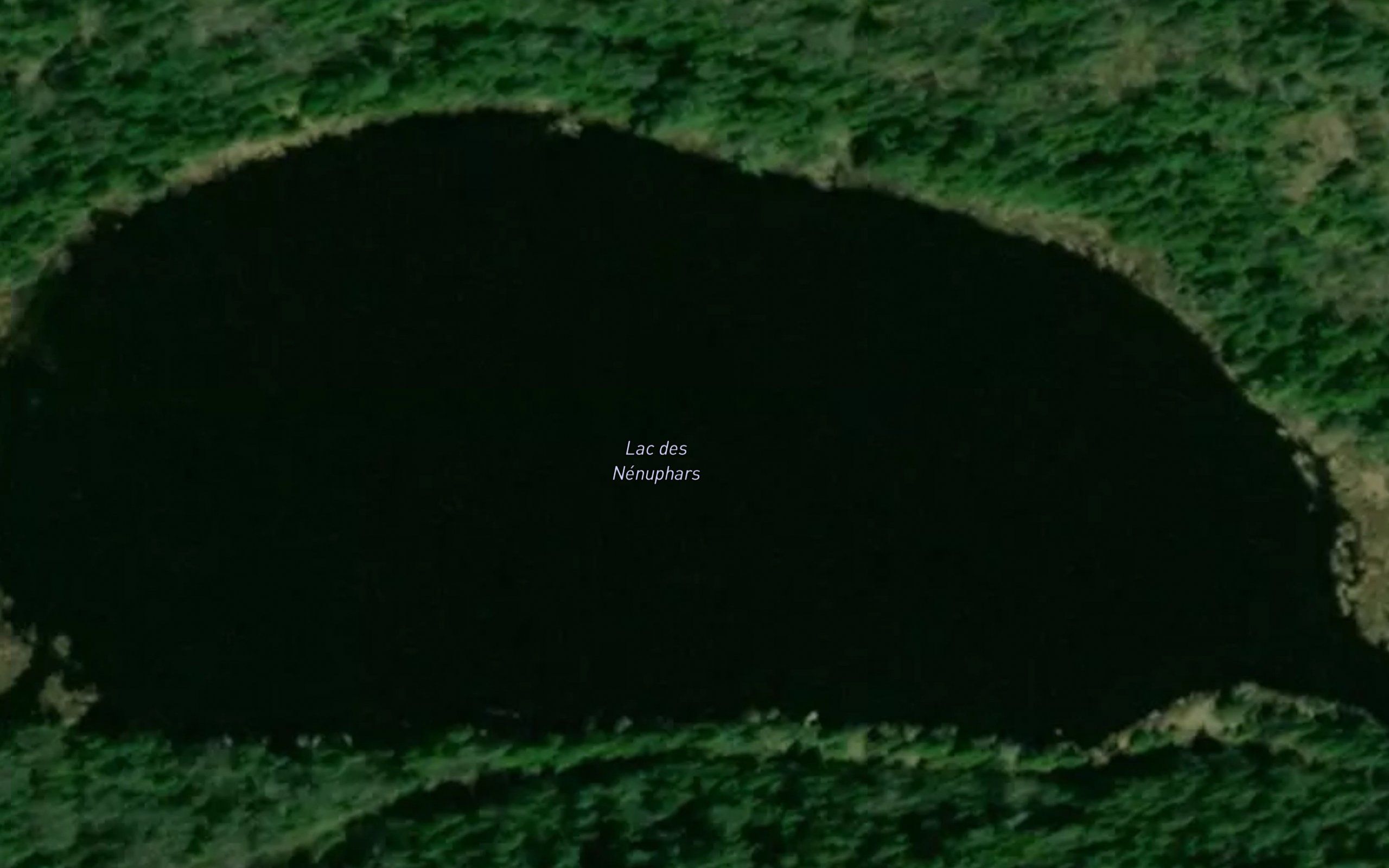 Lac des Nenuphars