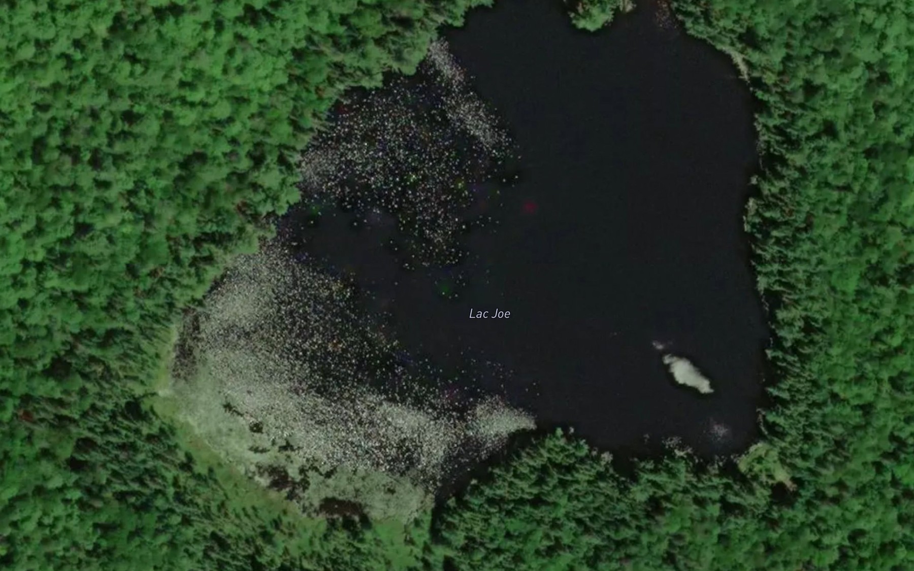 Satellite map of the Lac Joe