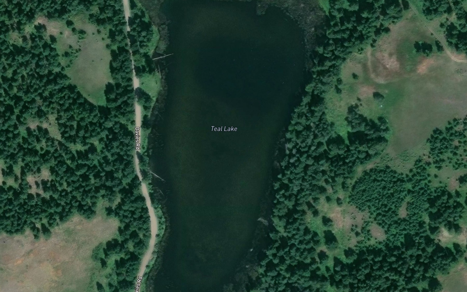 Satellite map of the Teal Lake