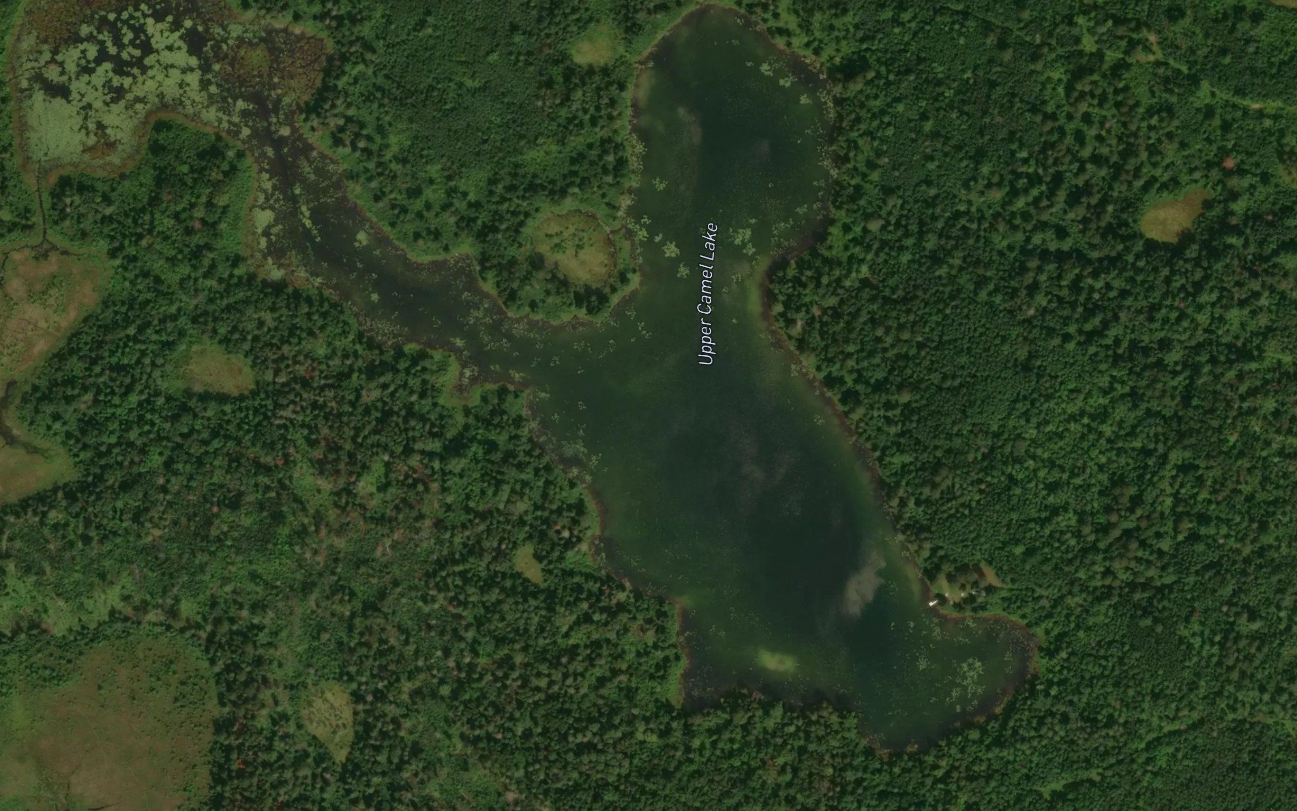 Upper Camel Lake