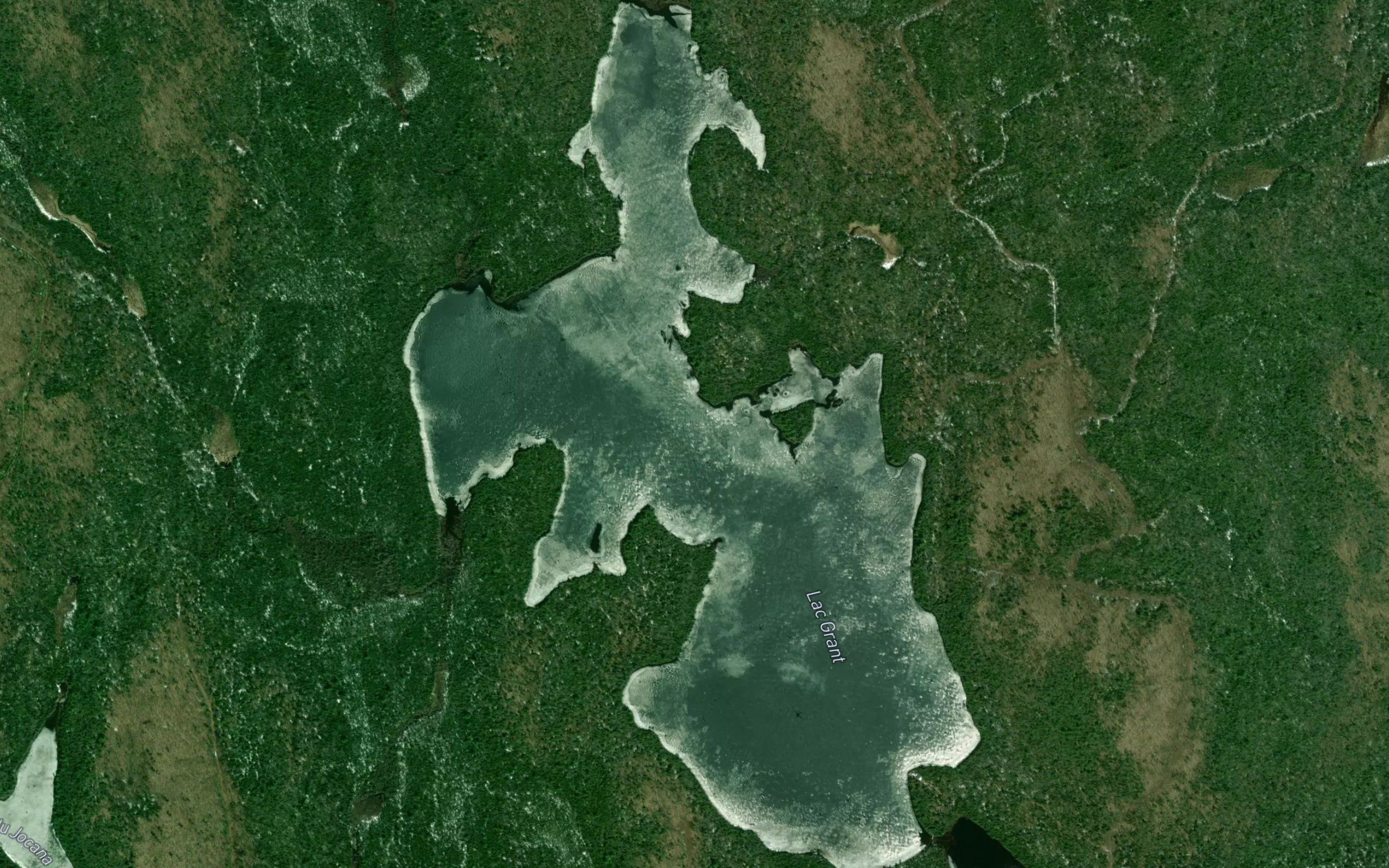 Lac Grant