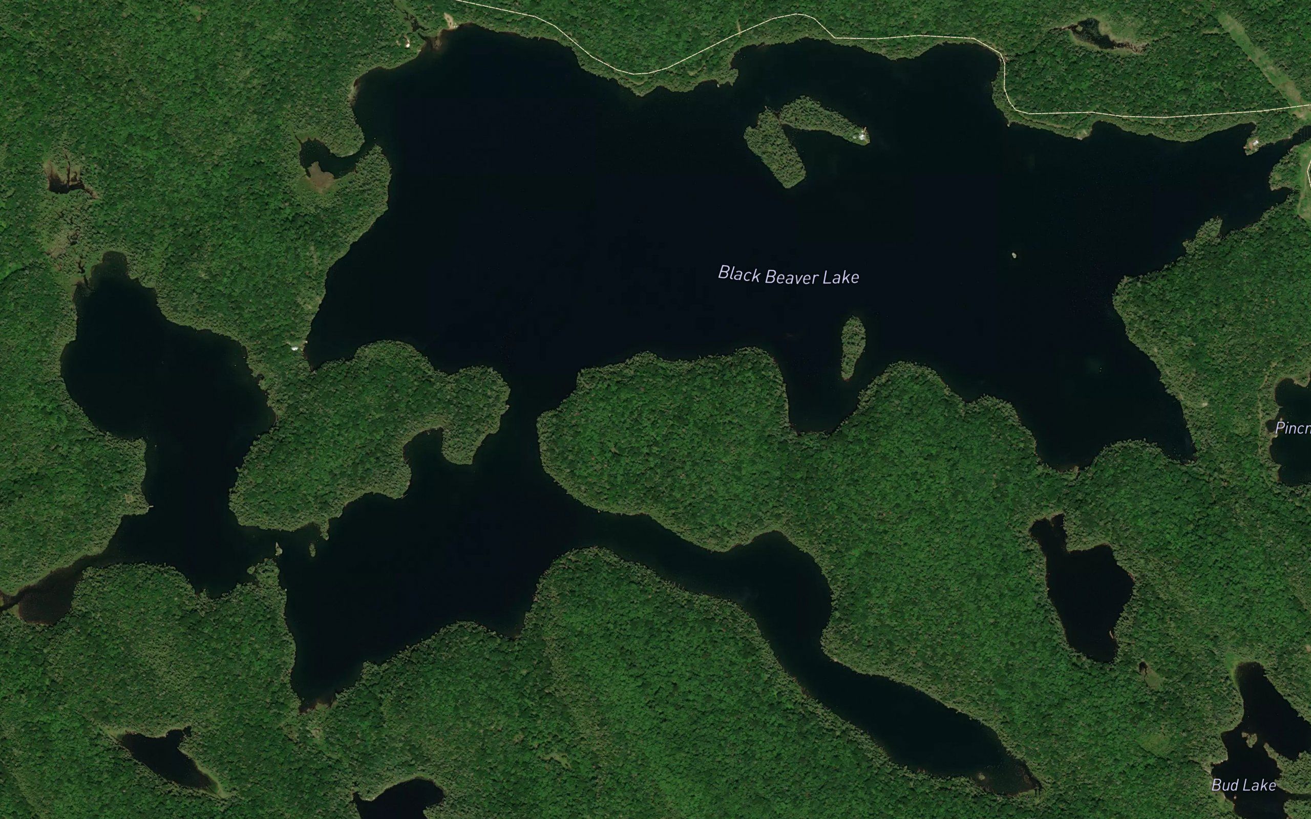 Black Beaver Lake