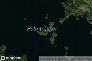 Holmtraesket