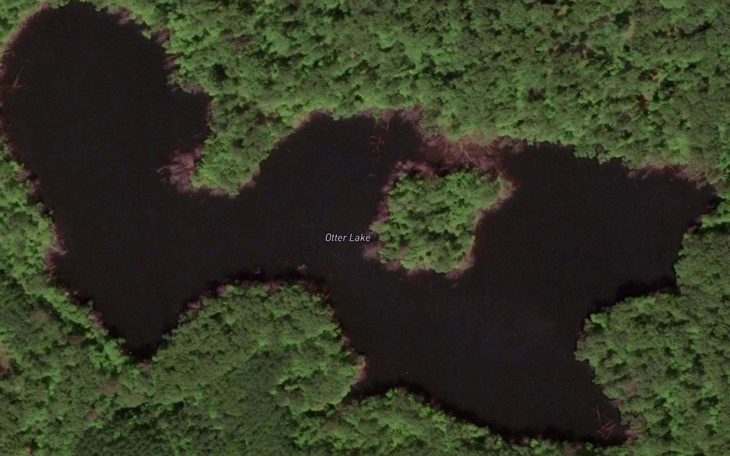 Otter Lake
