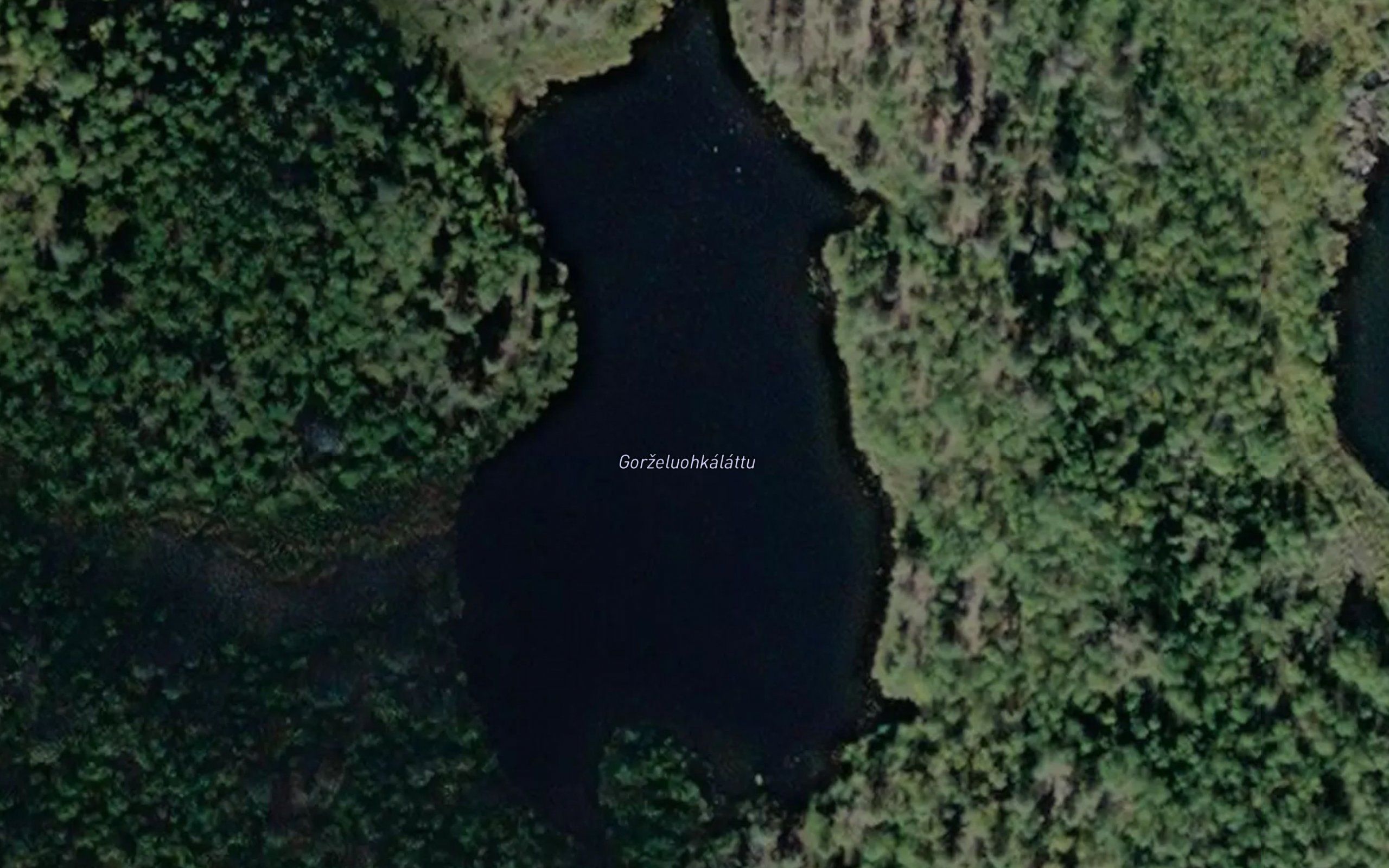 Gorneluohkalattu