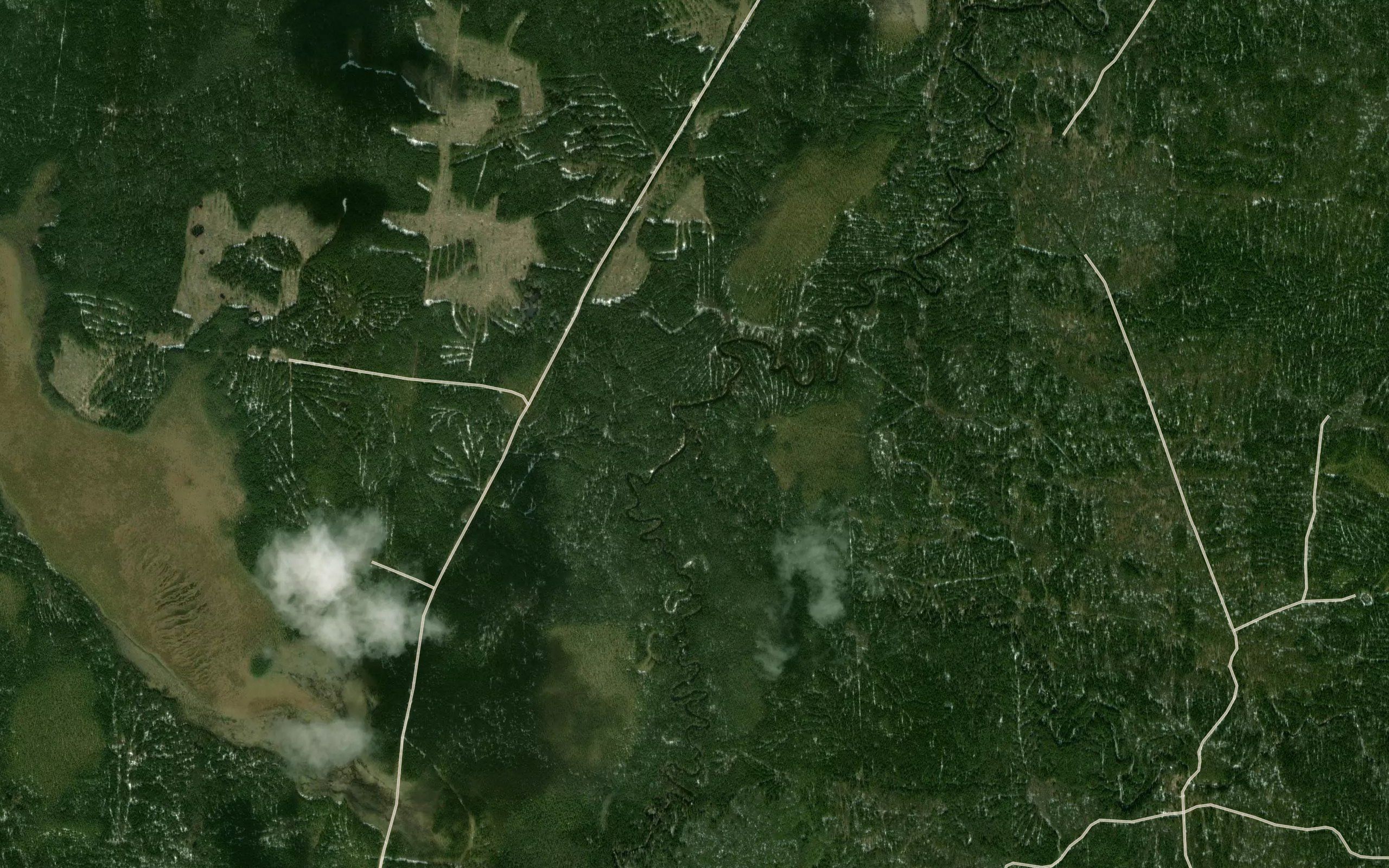Osinovka