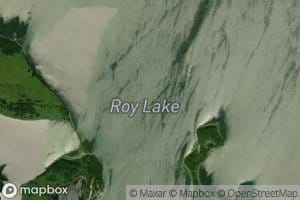 Roy Lake