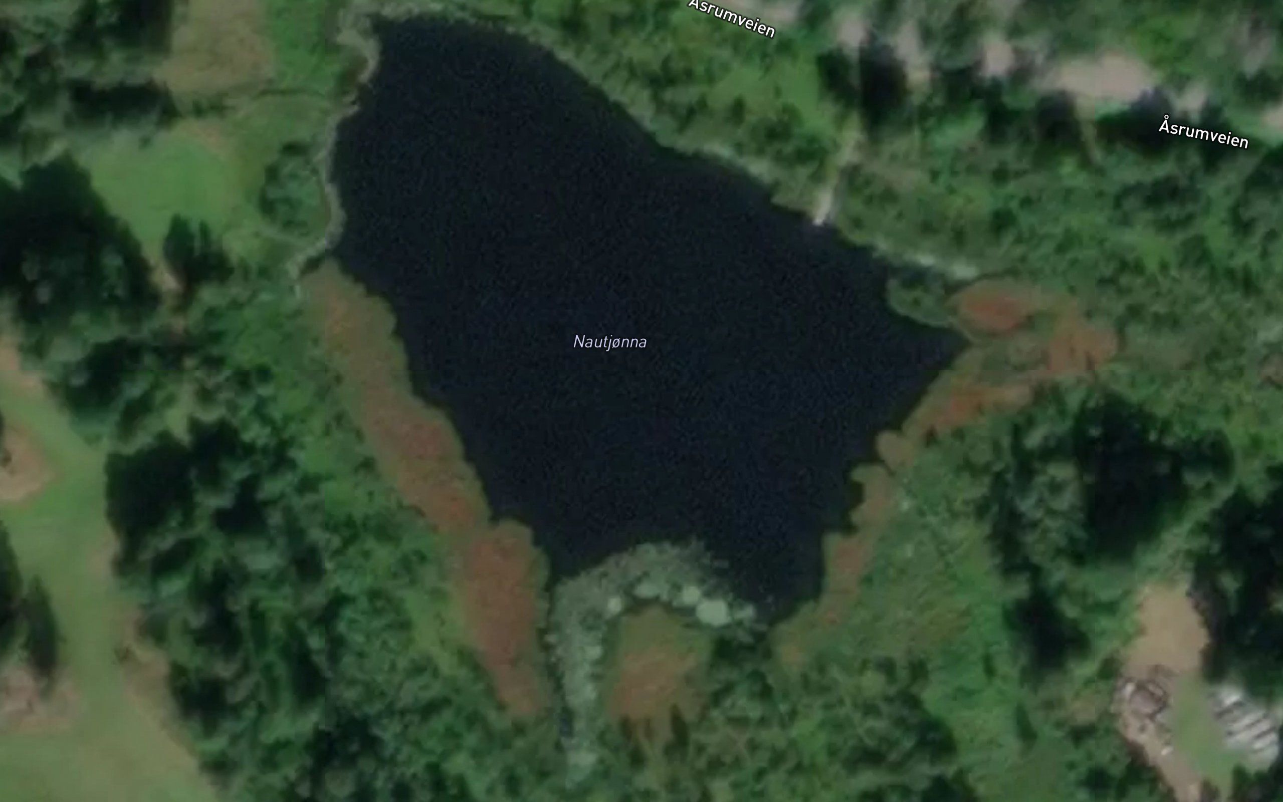 Nautjonna