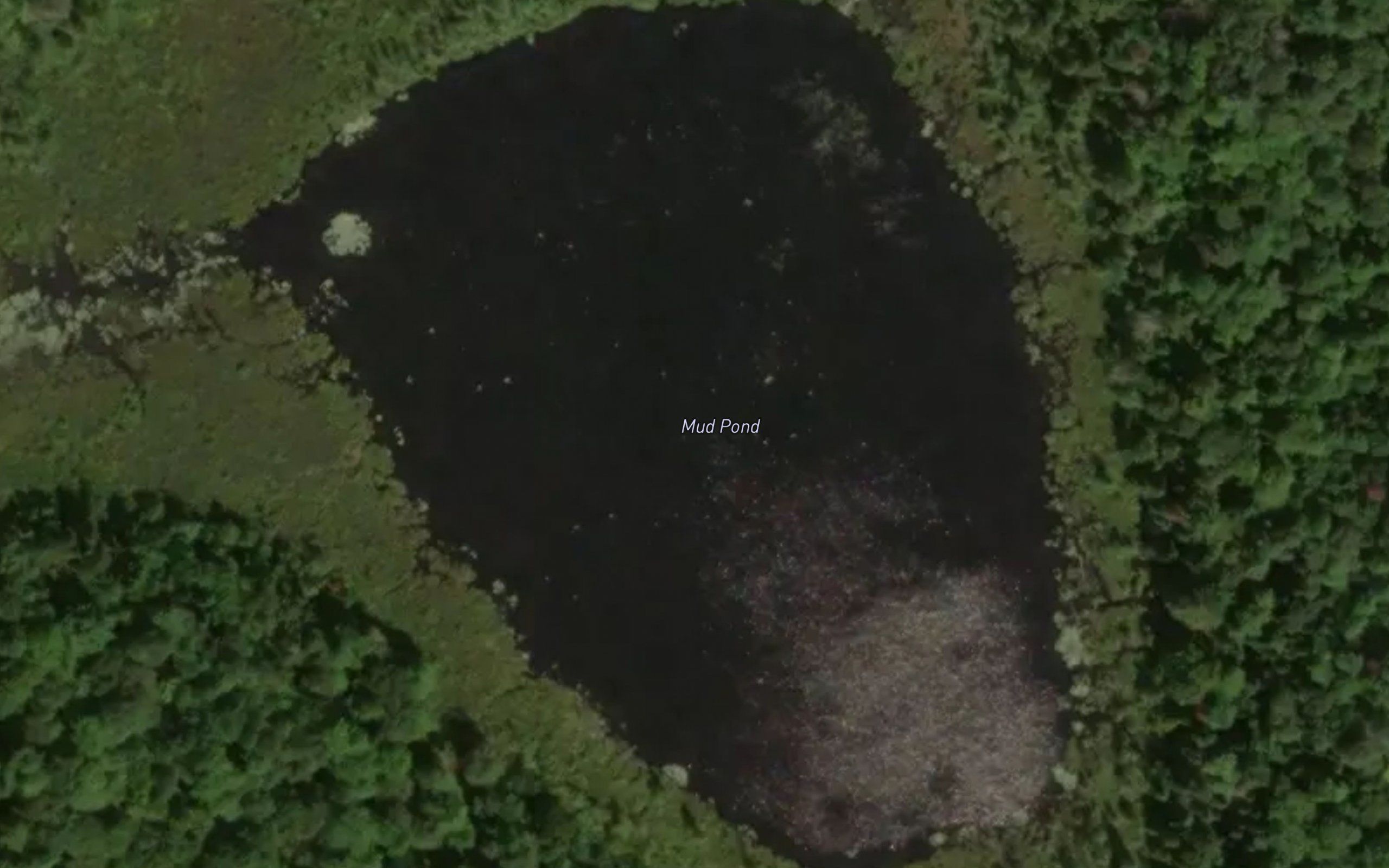 Mud Pond