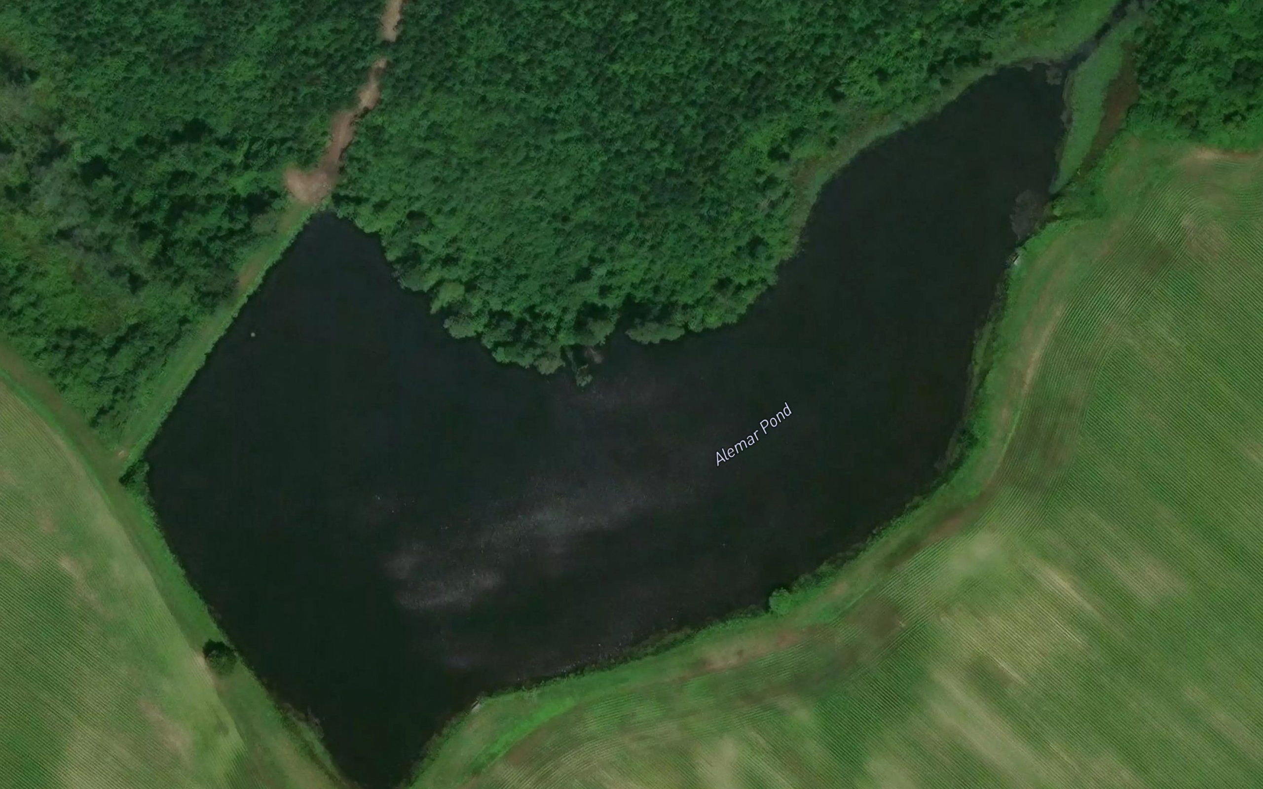 Alemar Pond