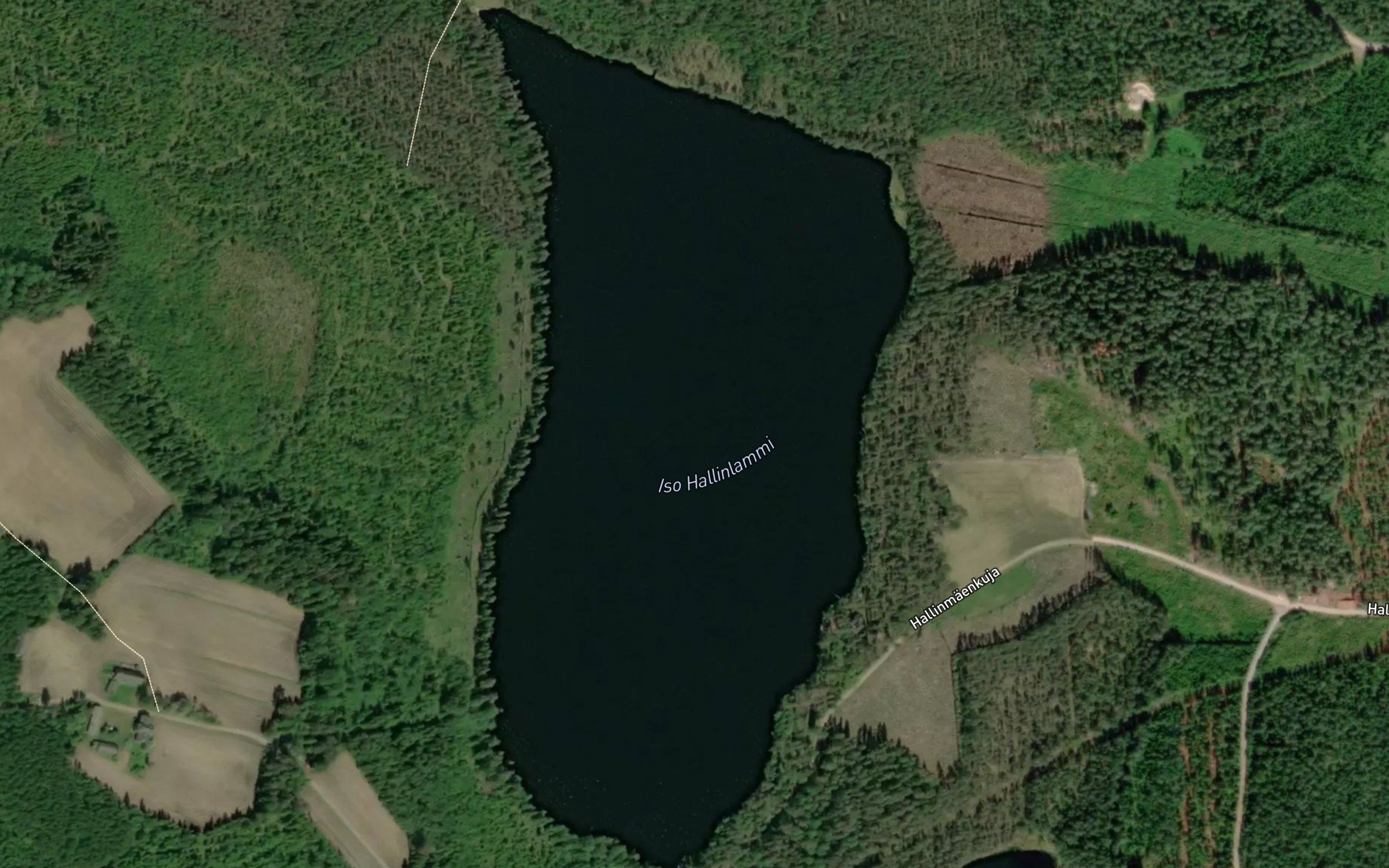 Iso Hallinlammi
