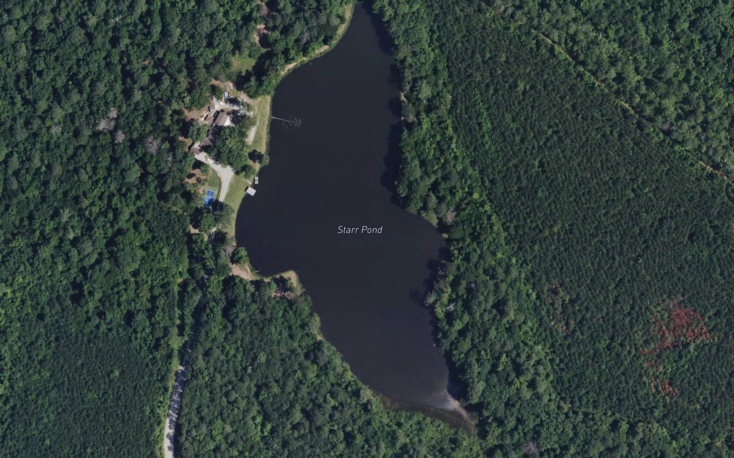 Starr Pond