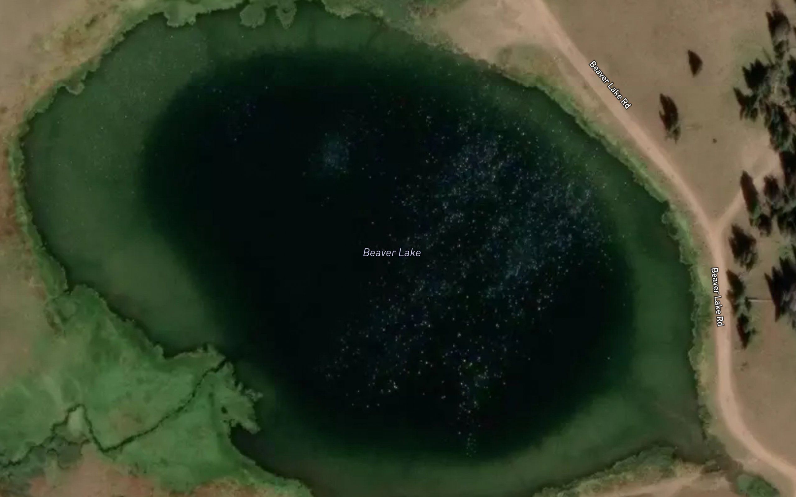 Beaver Lake