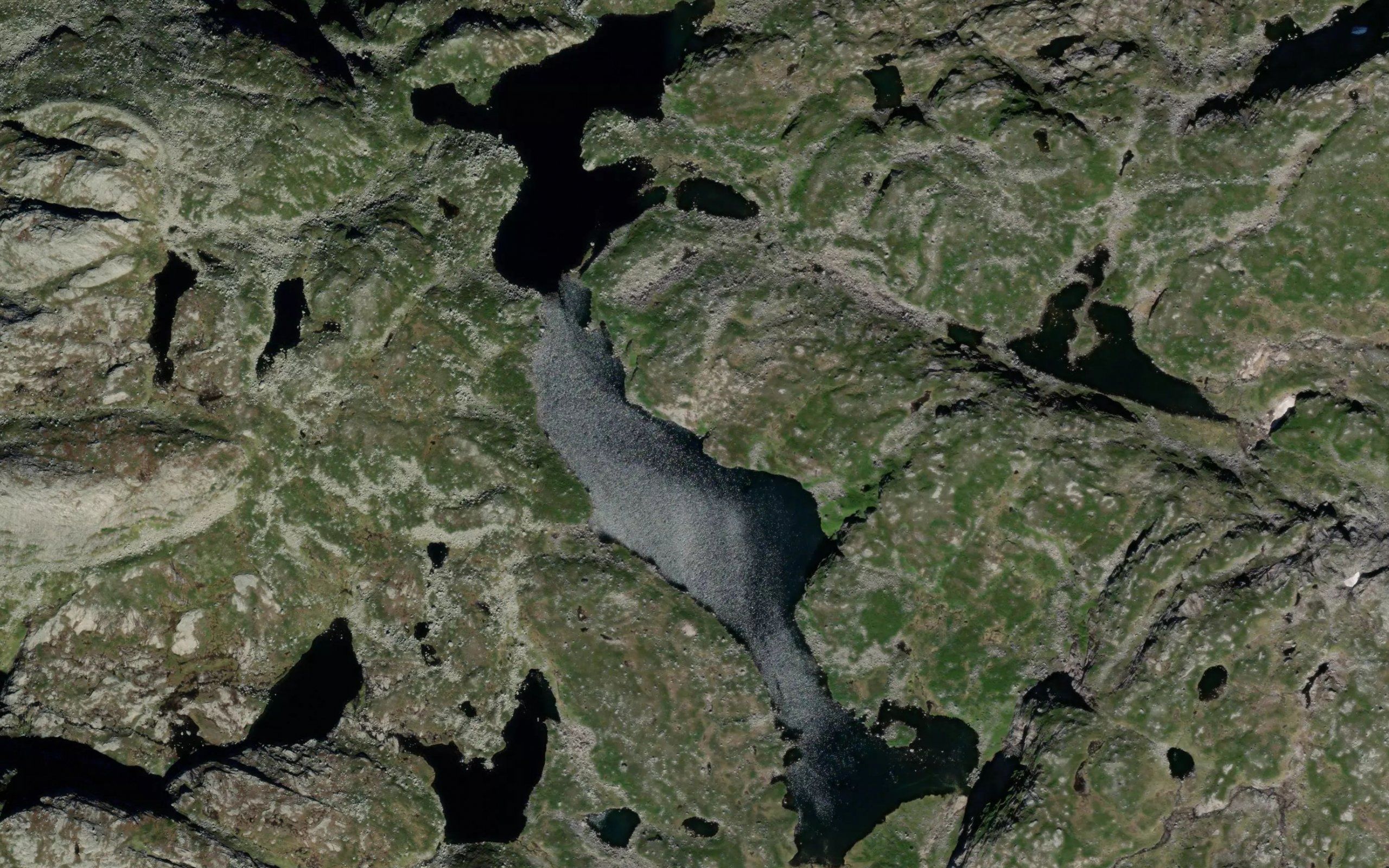 Middagstjorna