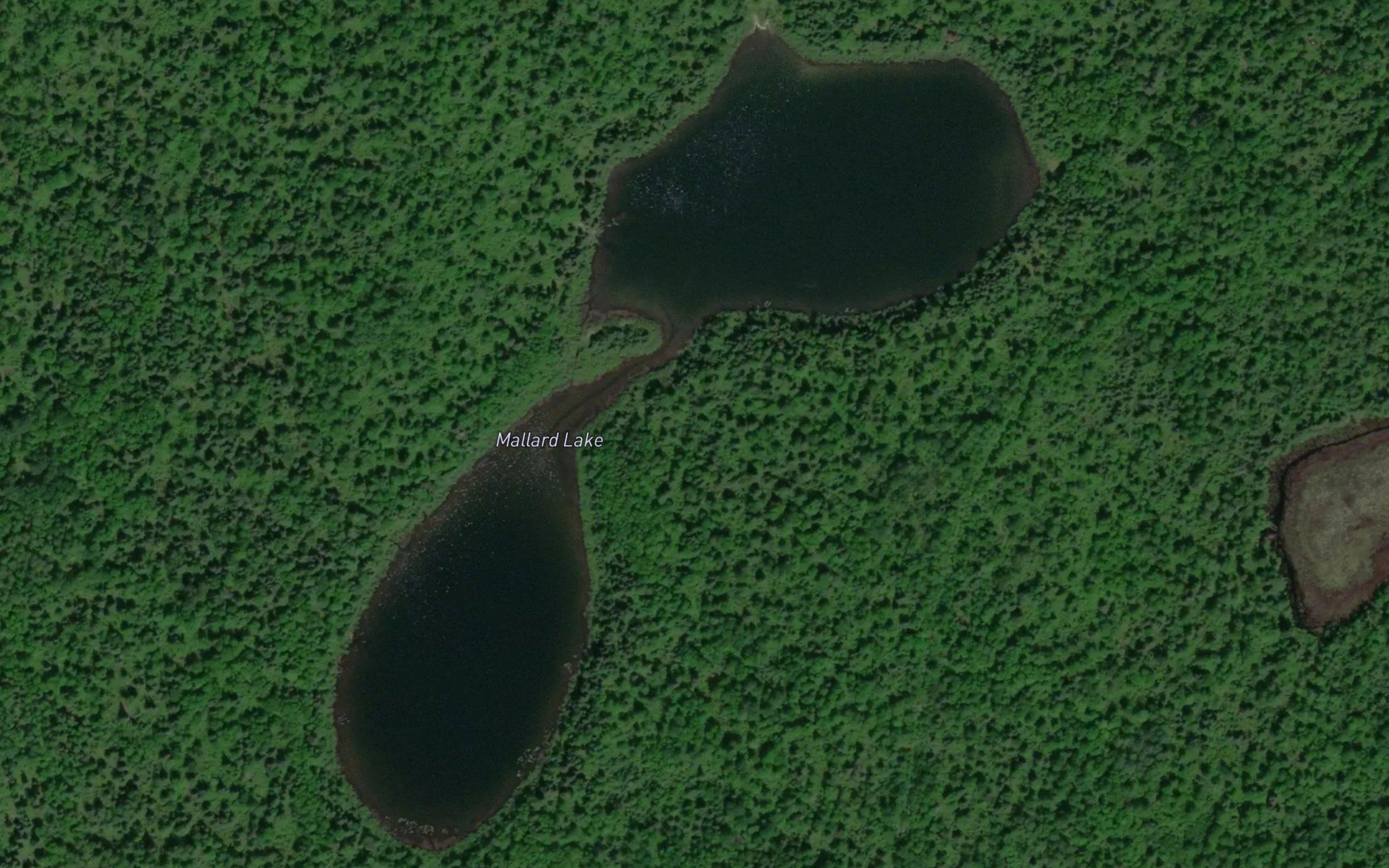 Mallard Lake