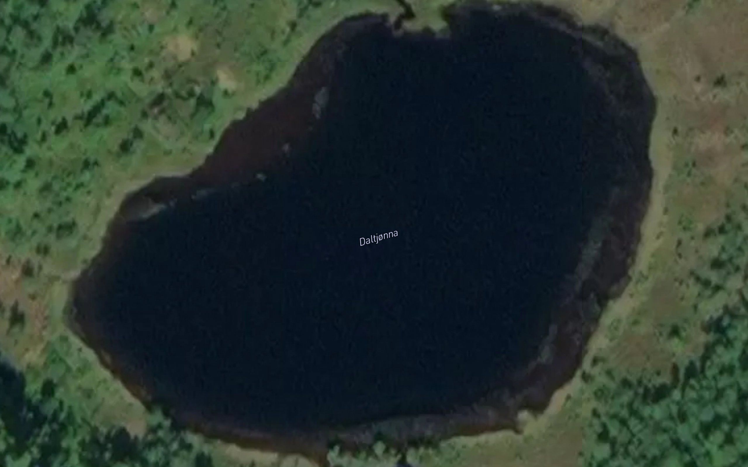 Daltjorna