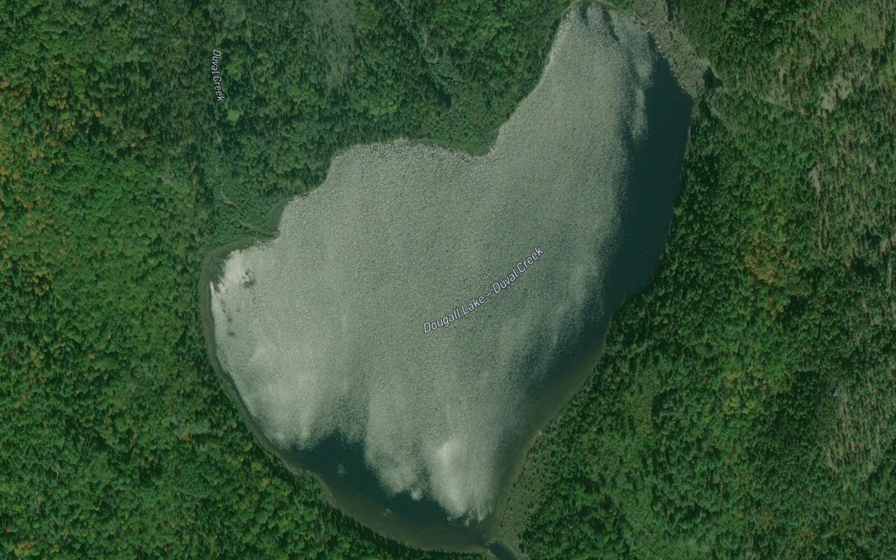 Satellite map of the Dougall Lake