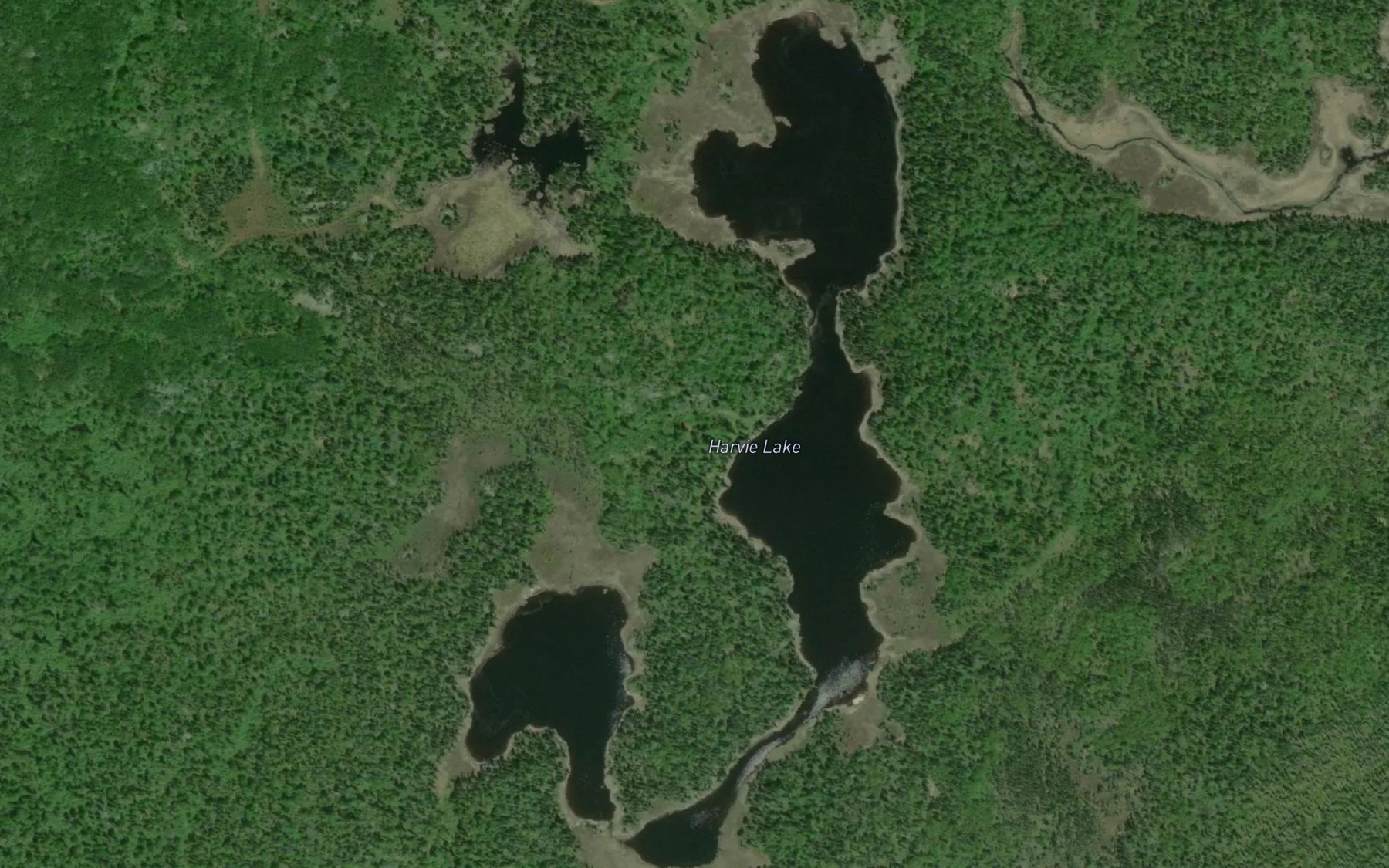 Satellite map of the Harvie Lake