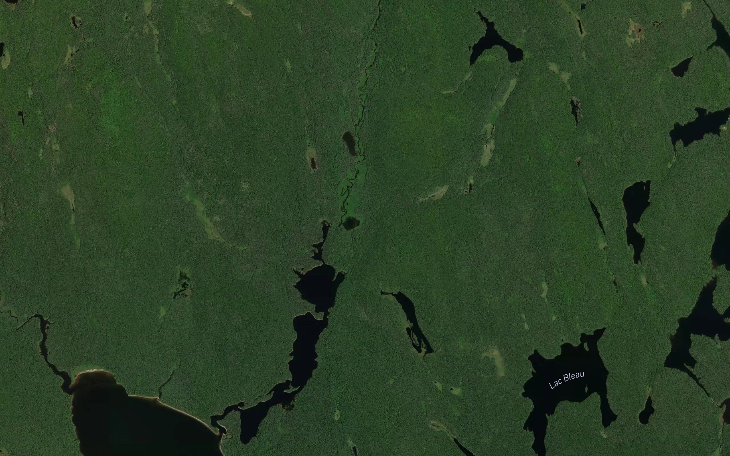 Etang de la Camomille