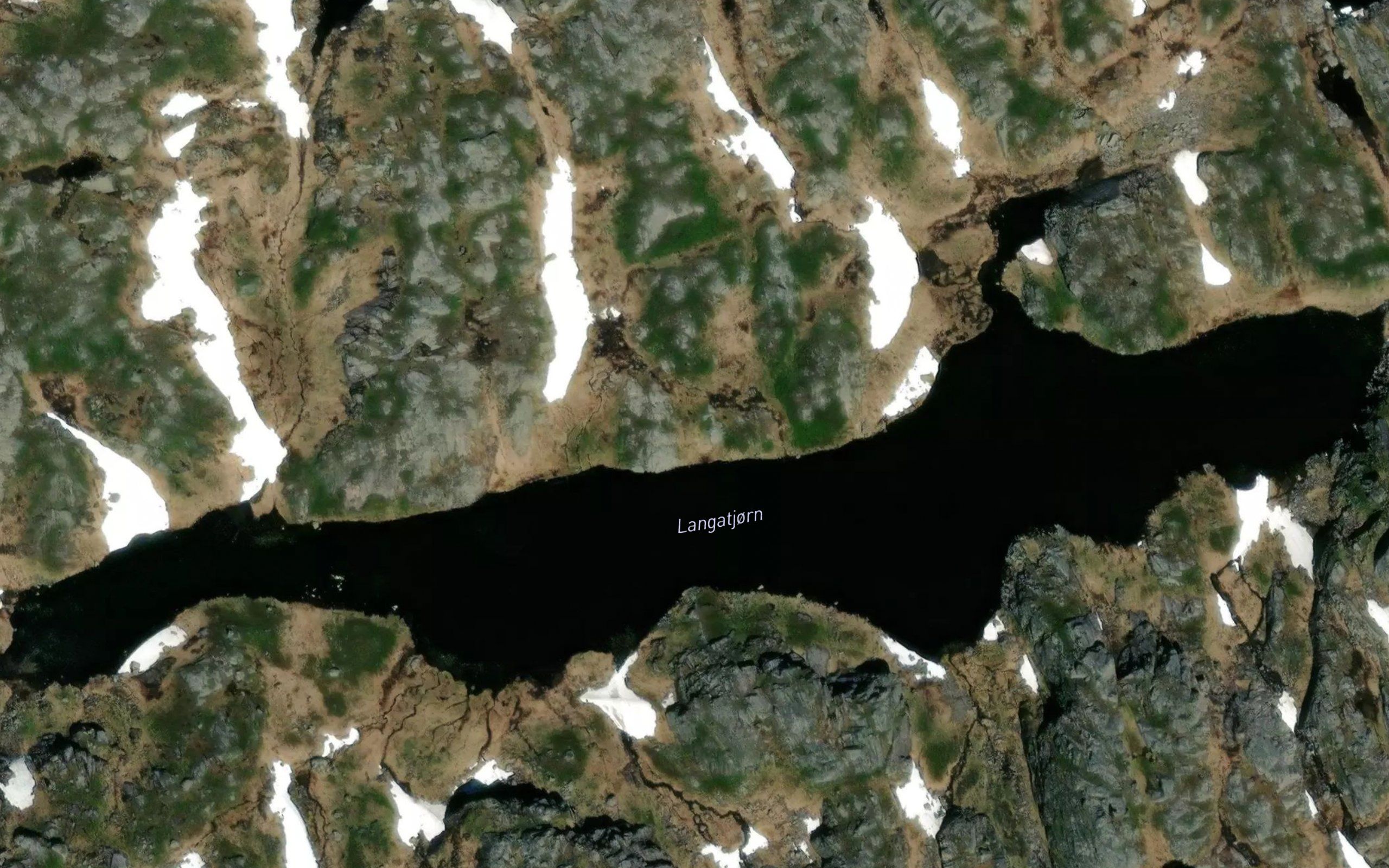 Langatjorn