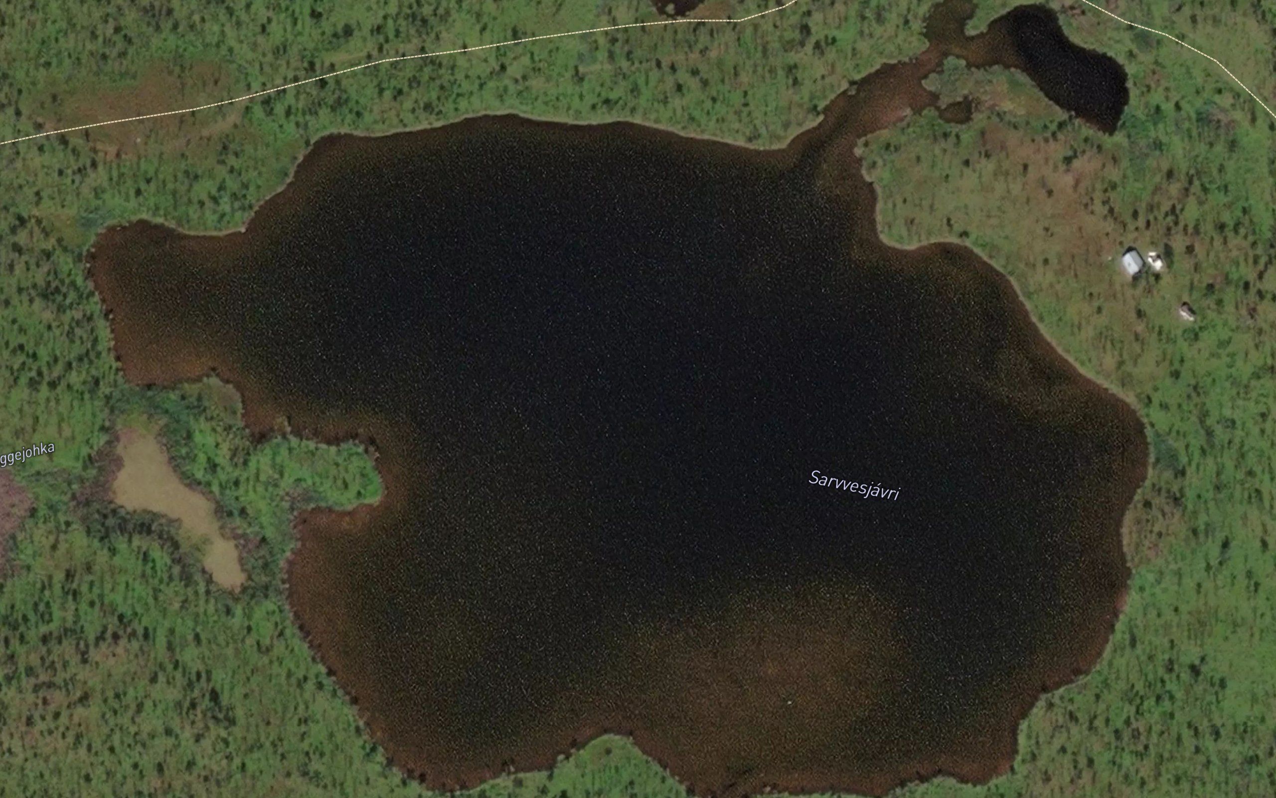 Sarvesjavri