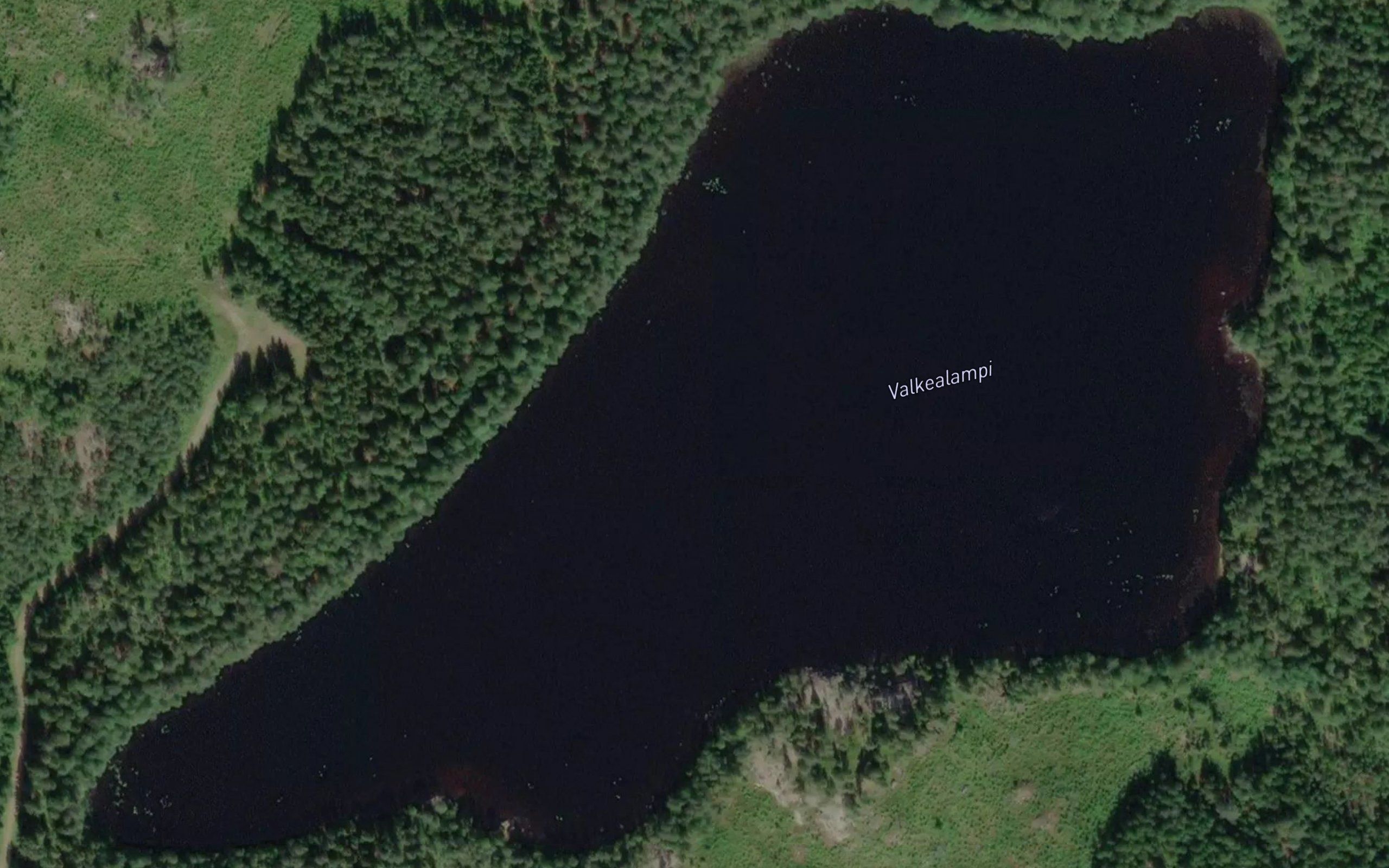 Valkealampi