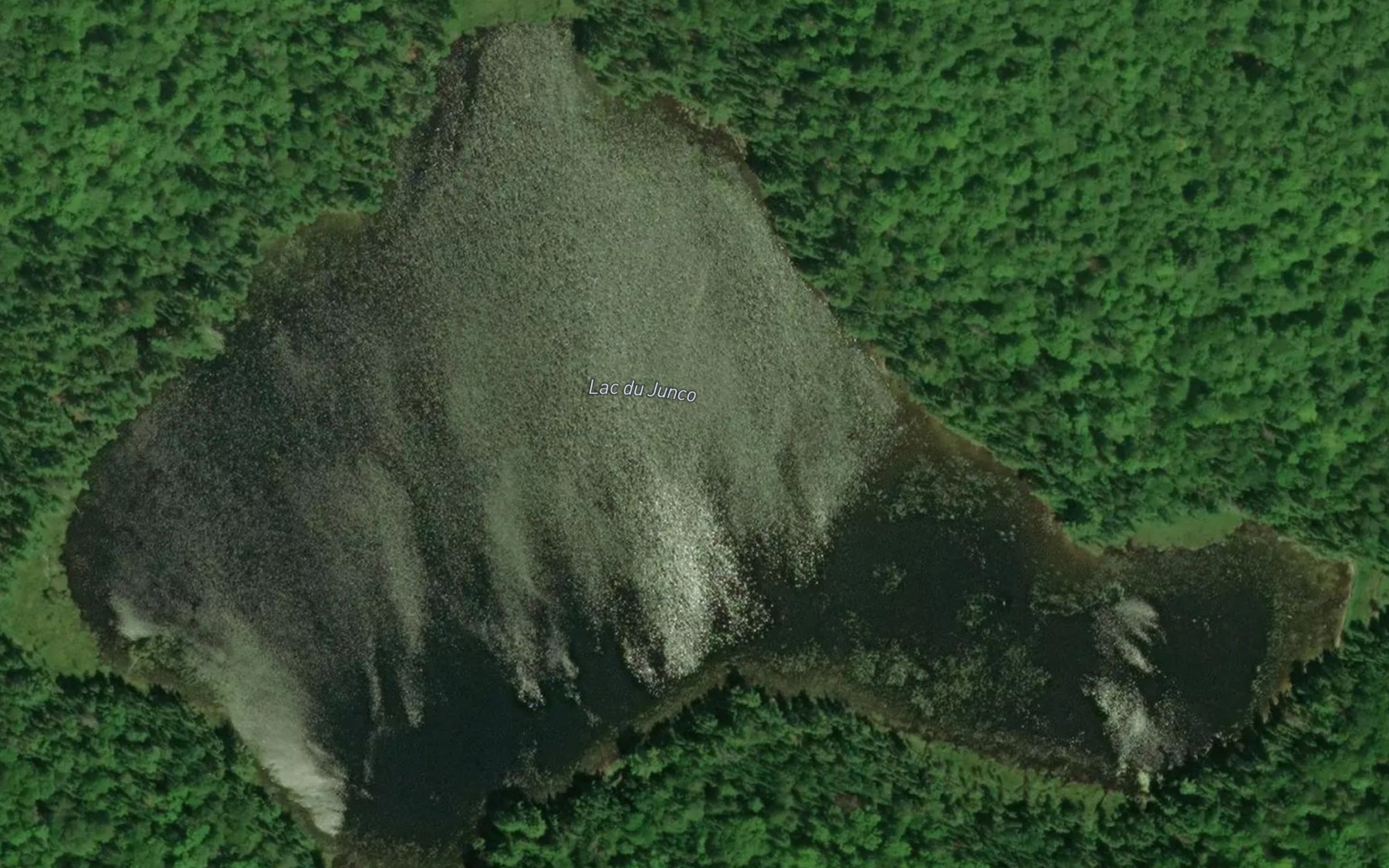 Satellite map of the Lac du Junco
