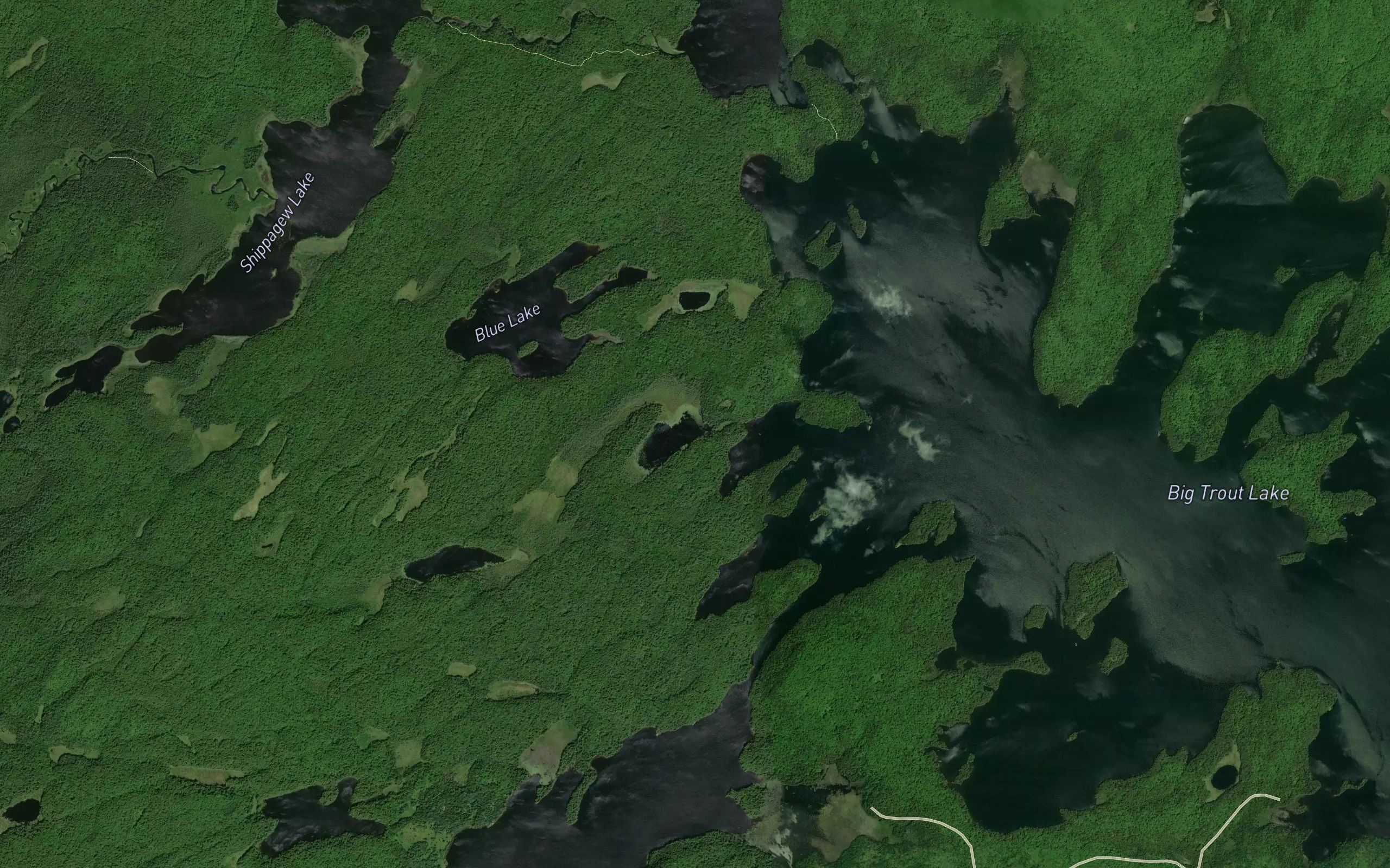 Spatterdock Pond
